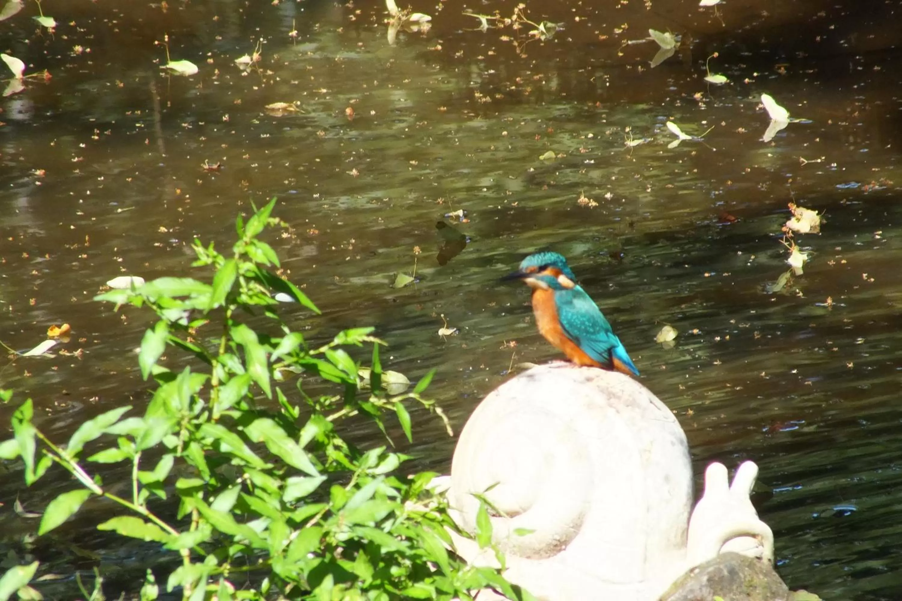 Chambres d'hôtes La Charmante