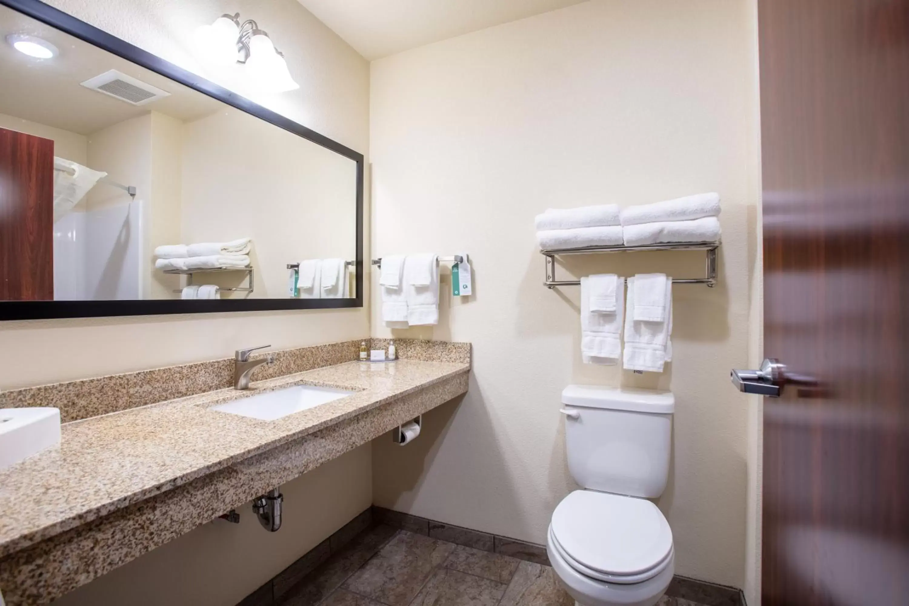 Bathroom in Cobblestone Inn & Suites - Pine Bluffs