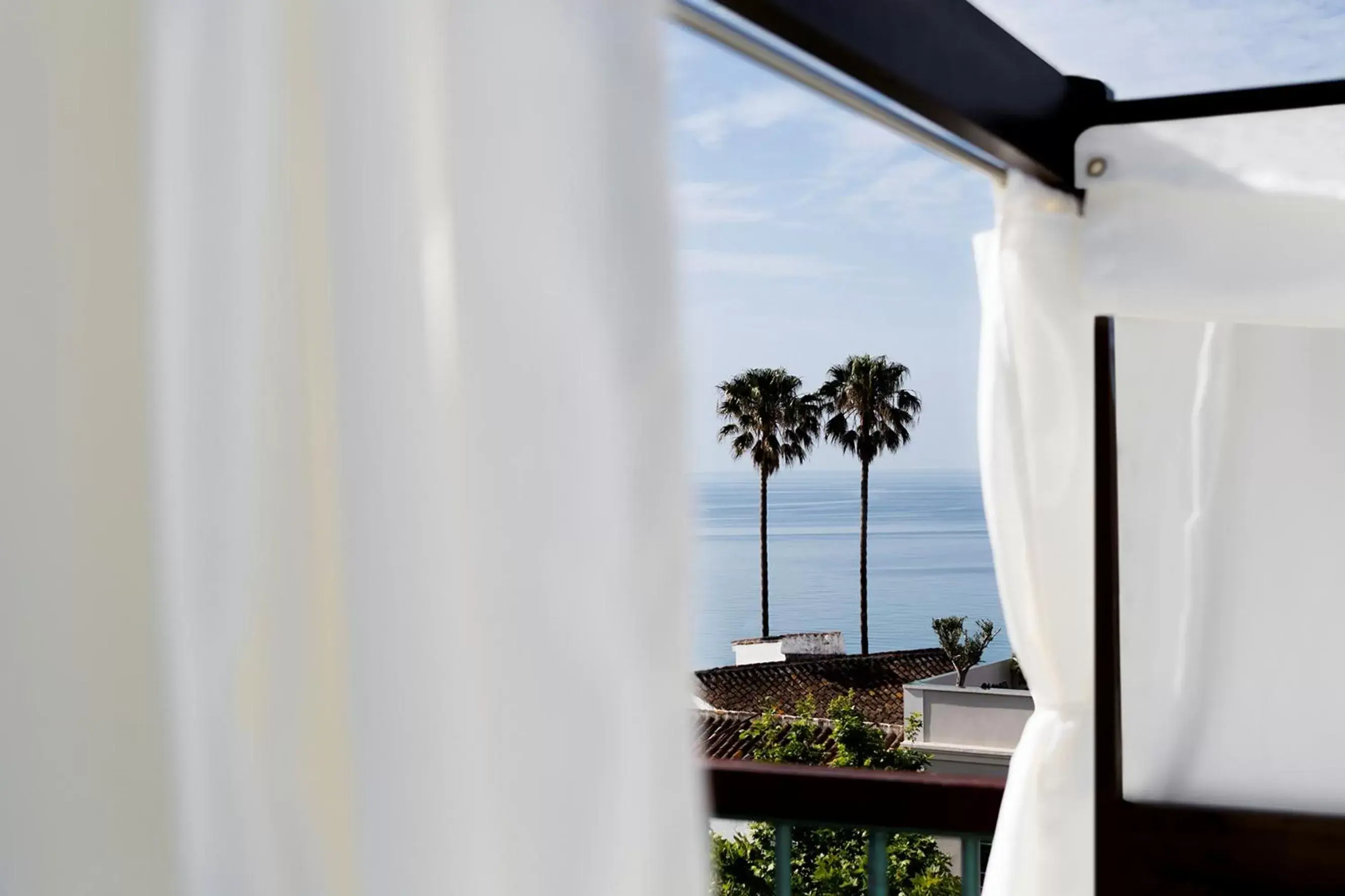 Balcony/Terrace, Sea View in Hotel Plaza Cavana