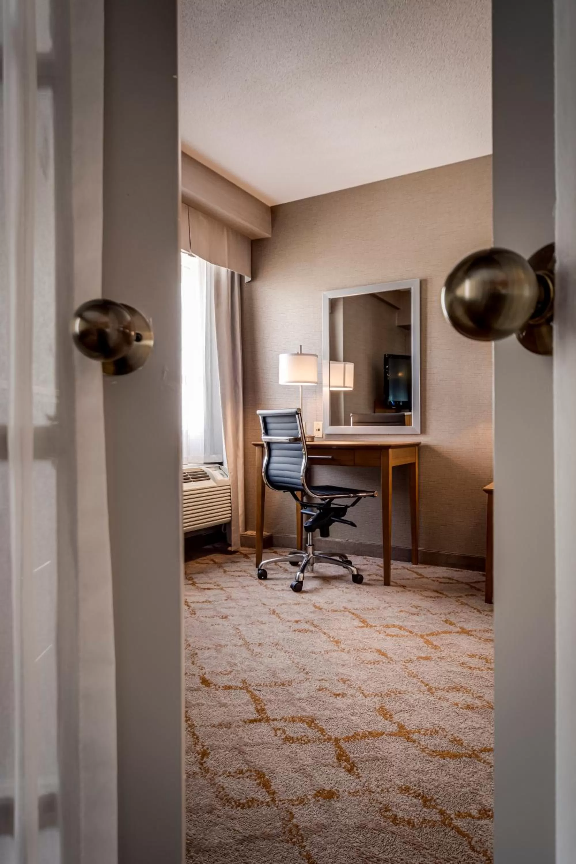 TV and multimedia in Monte Carlo Inn Vaughan Suites