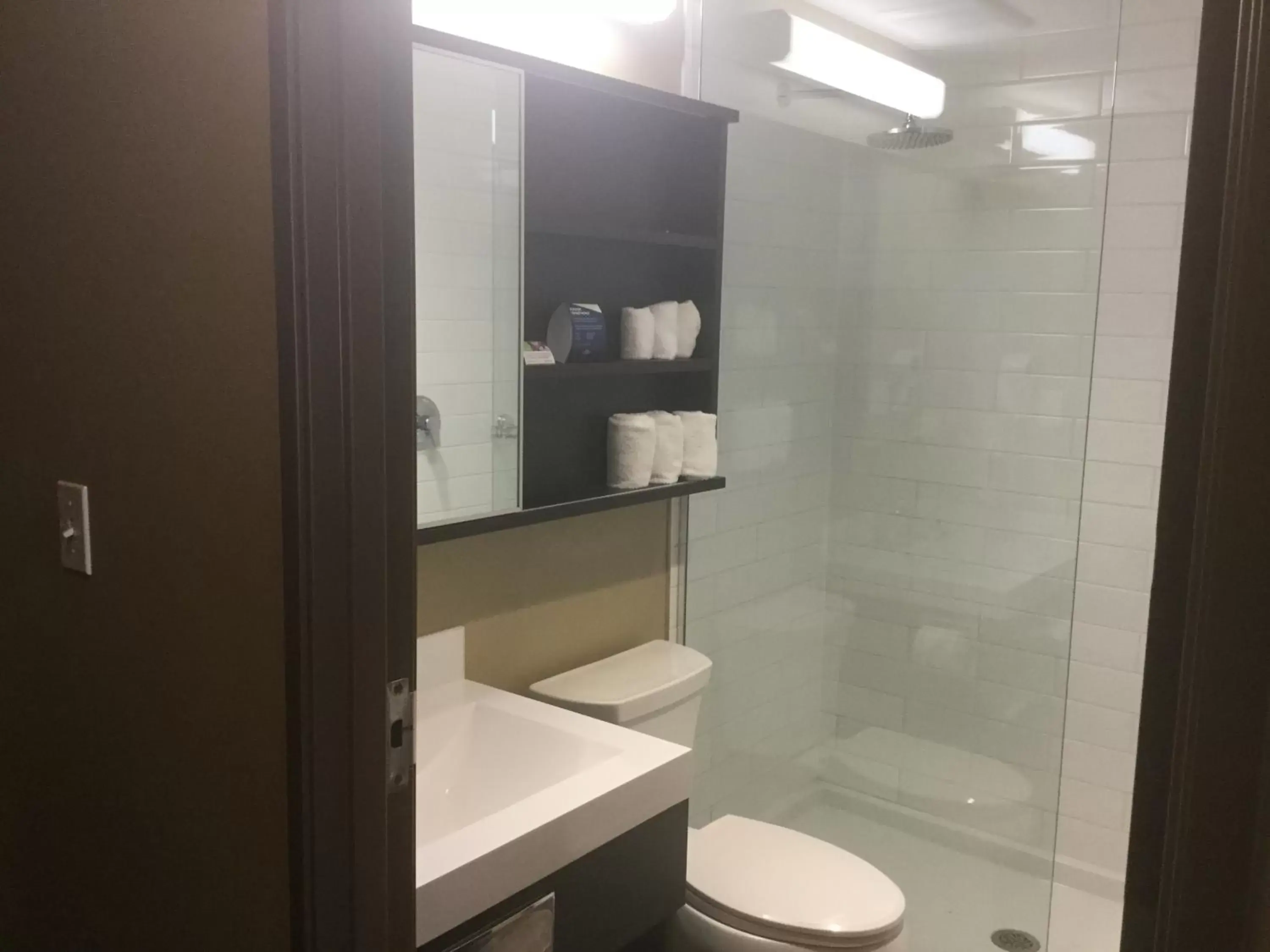 Shower, Bathroom in Microtel Inn & Suites by Wyndham Whitecourt