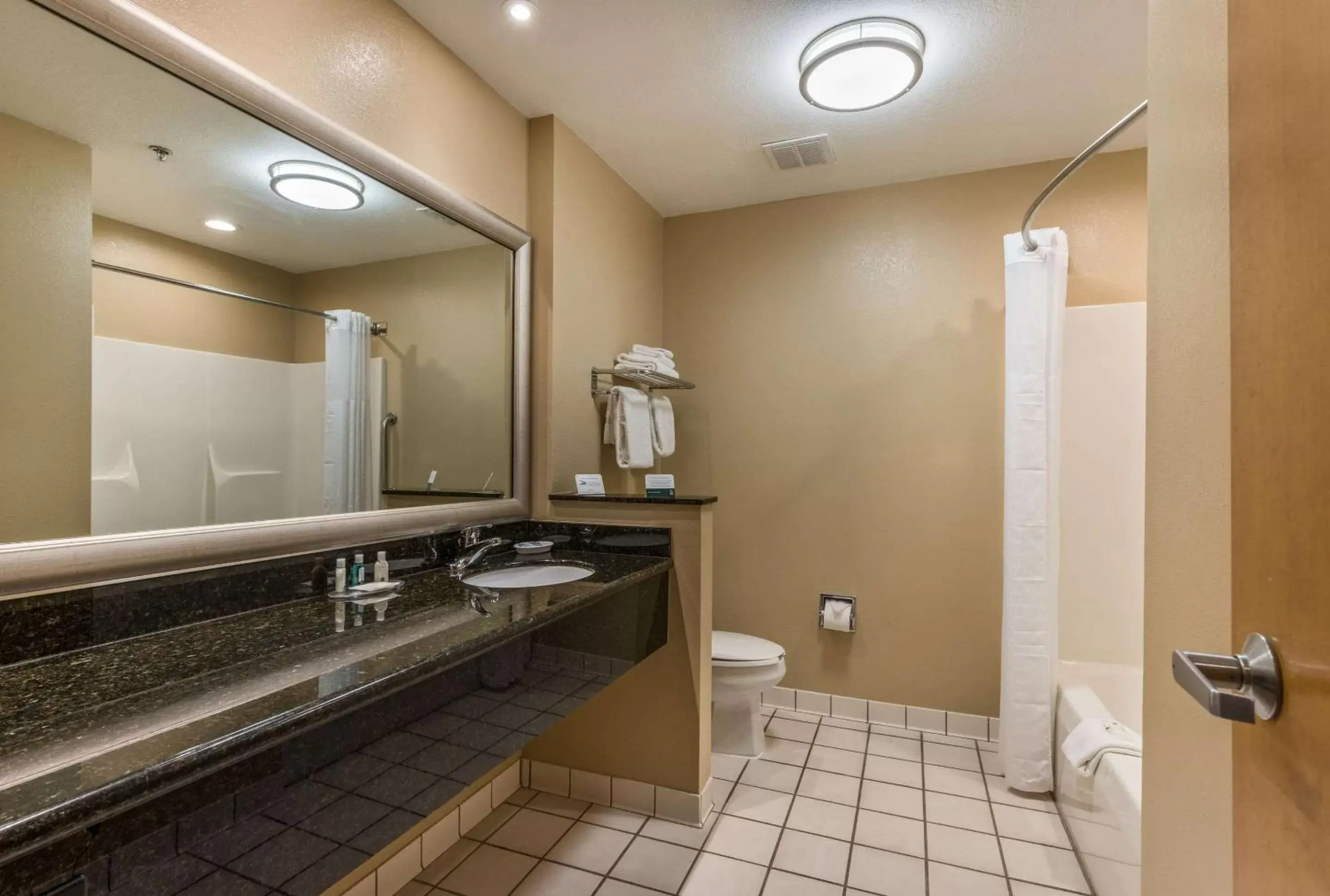 Bathroom in Quality Inn & Suites Hendersonville - Flat Rock
