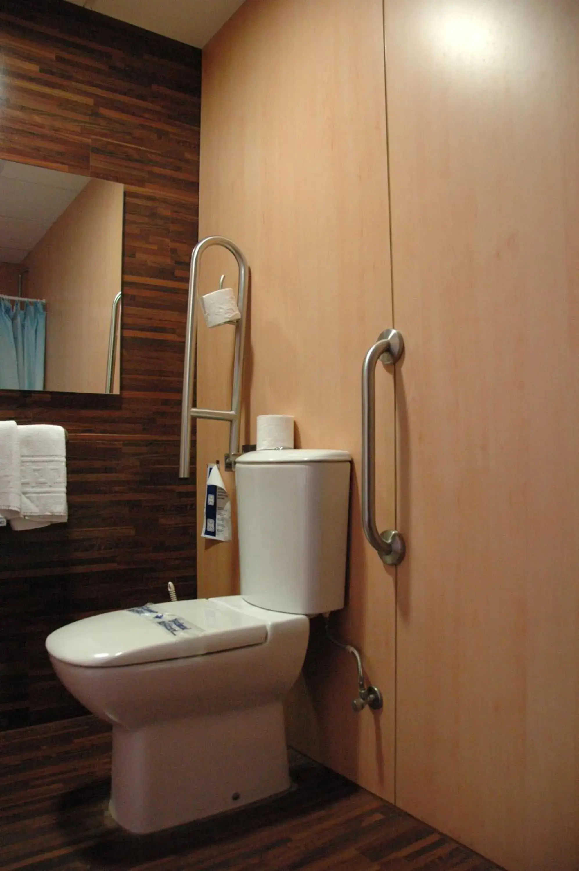 Toilet, Bathroom in Evenia President