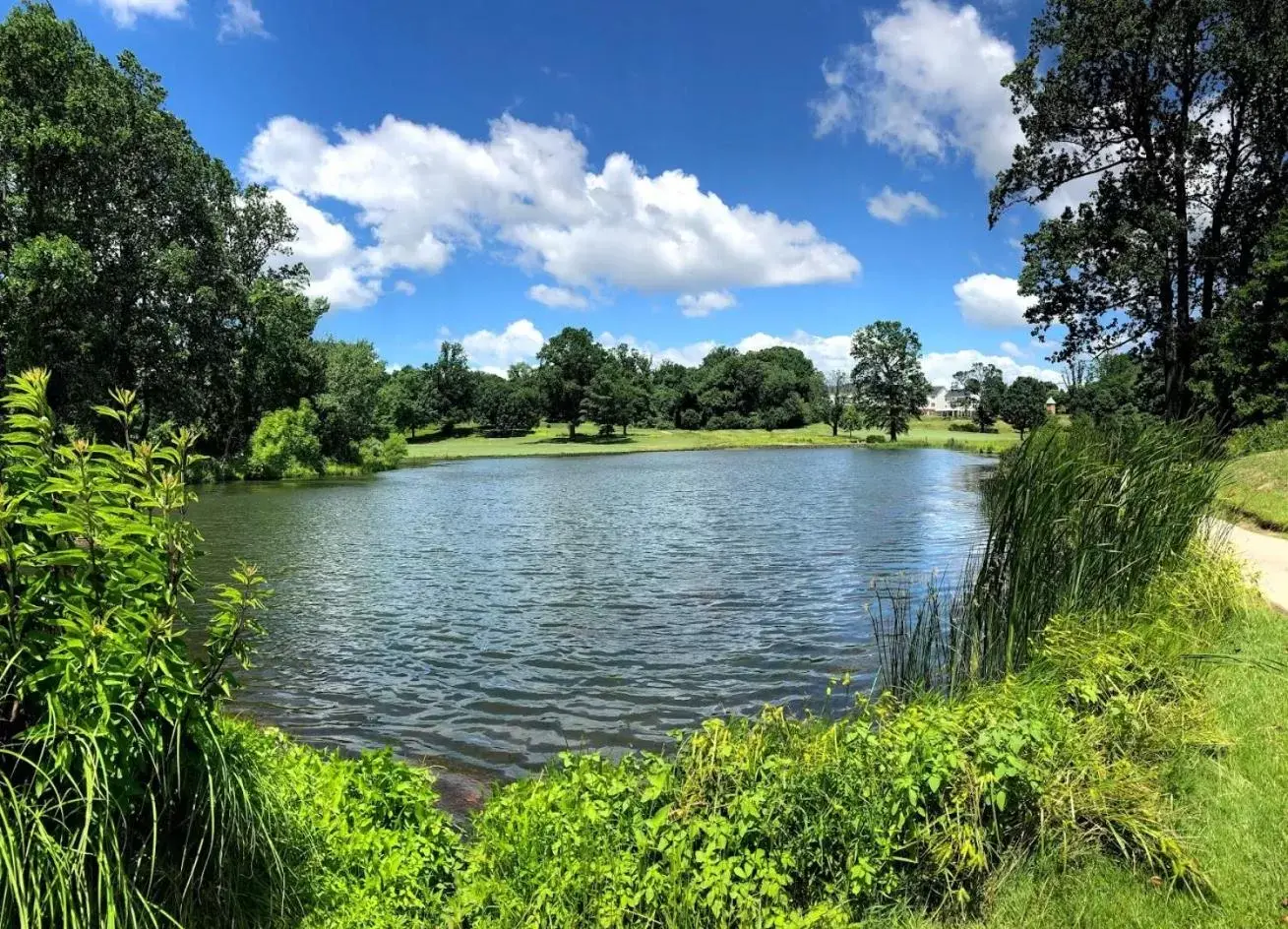 Natural Landscape in Turf Valley Resort