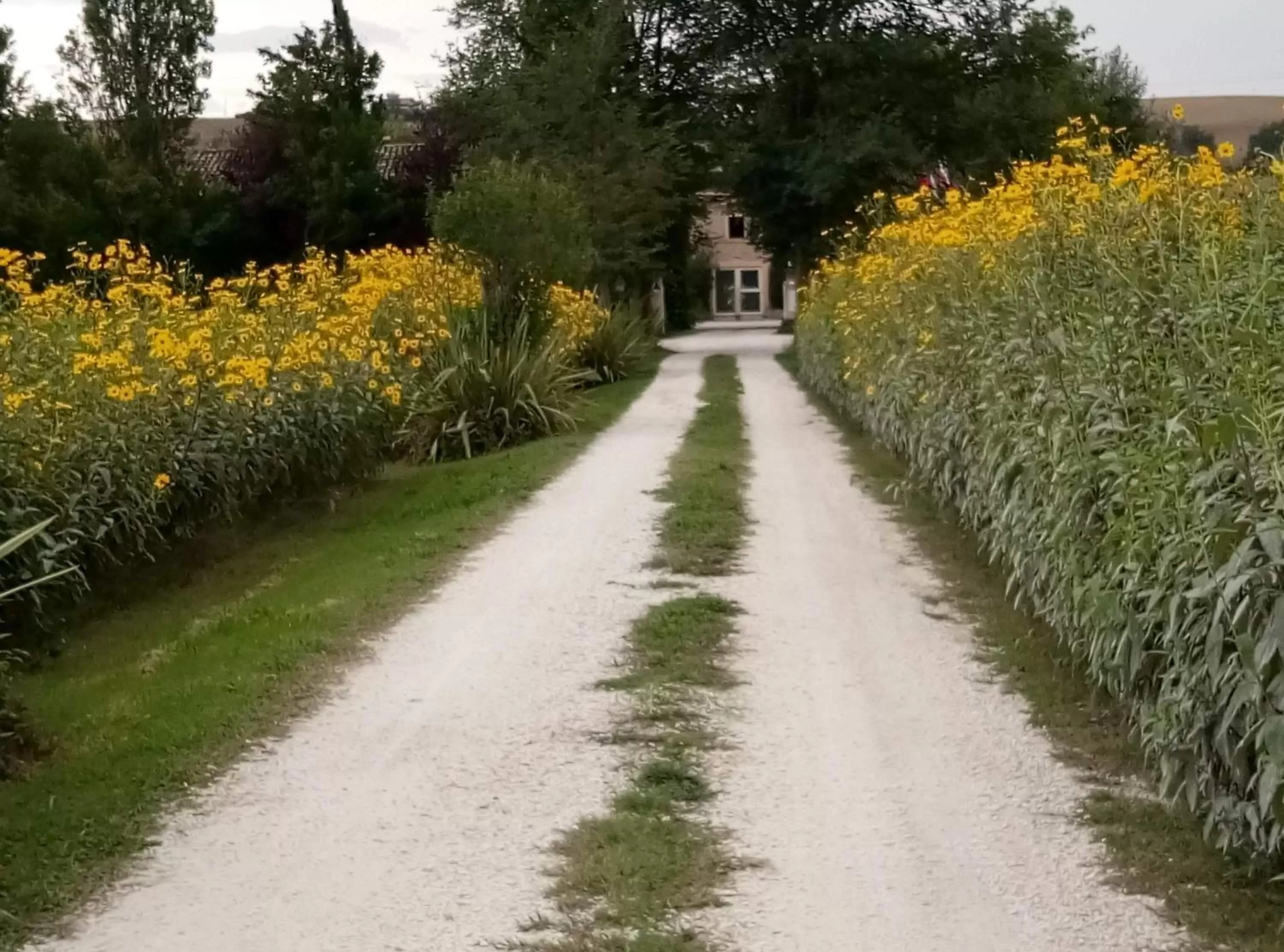 Facade/entrance in La Casa di Tara B&B Armonia e Natura