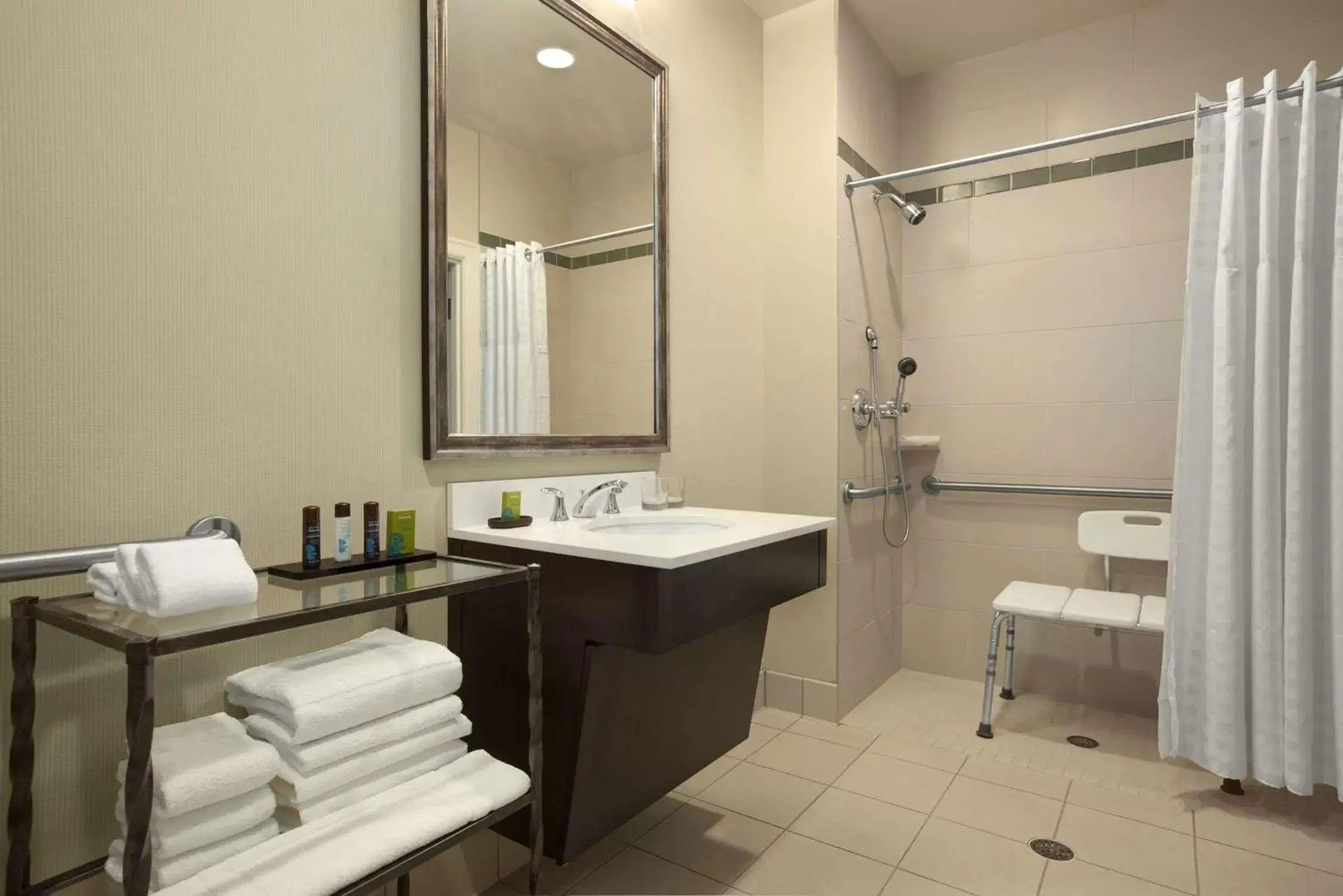 Shower, Bathroom in Embassy Suites Saint Louis - Downtown