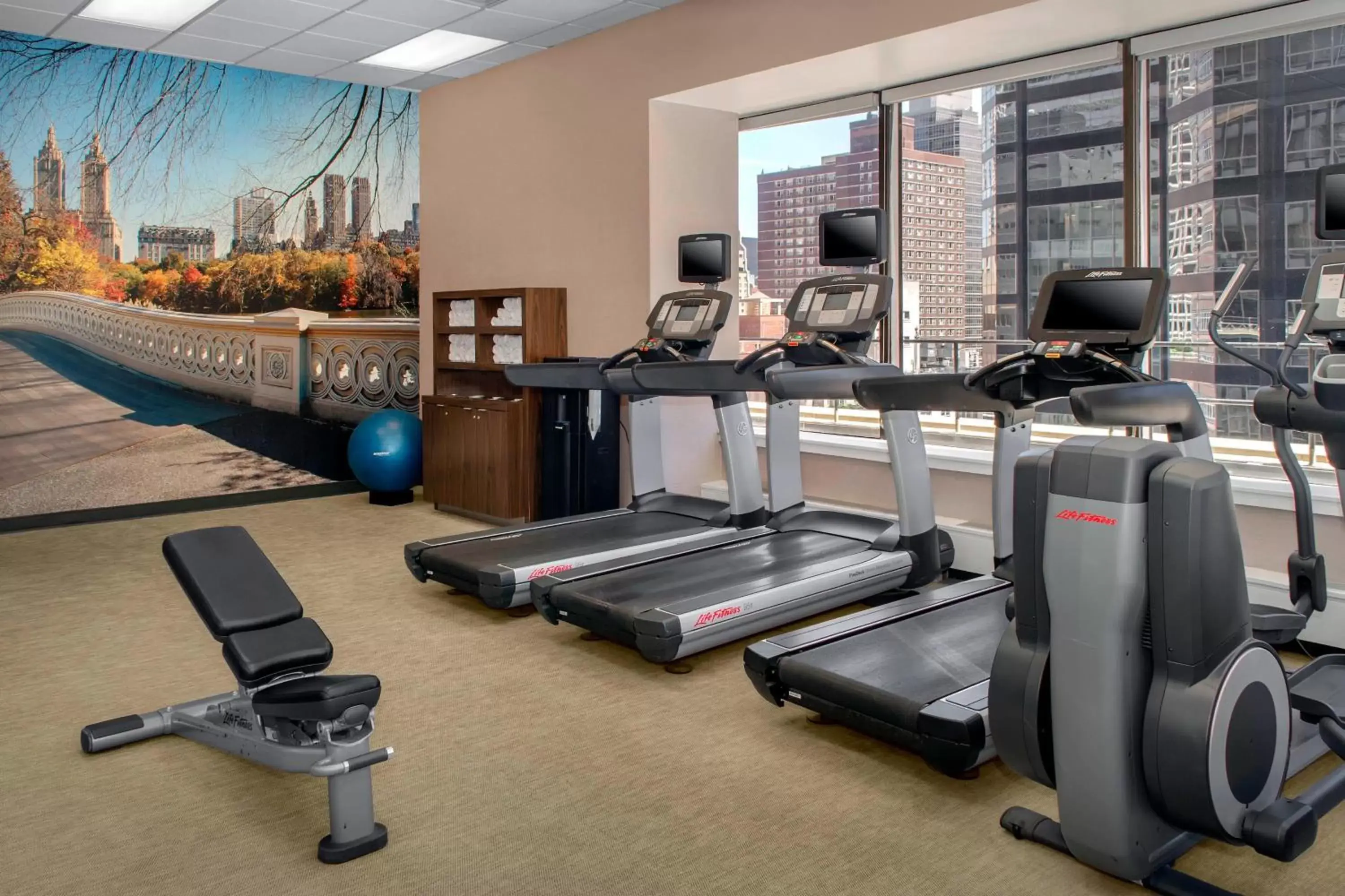 Fitness centre/facilities, Fitness Center/Facilities in Courtyard New York Manhattan/Midtown East