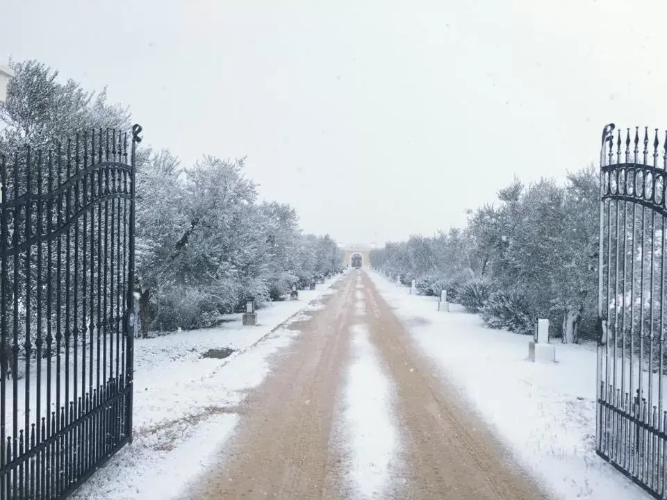 Property building, Winter in Tenuta Orsanese