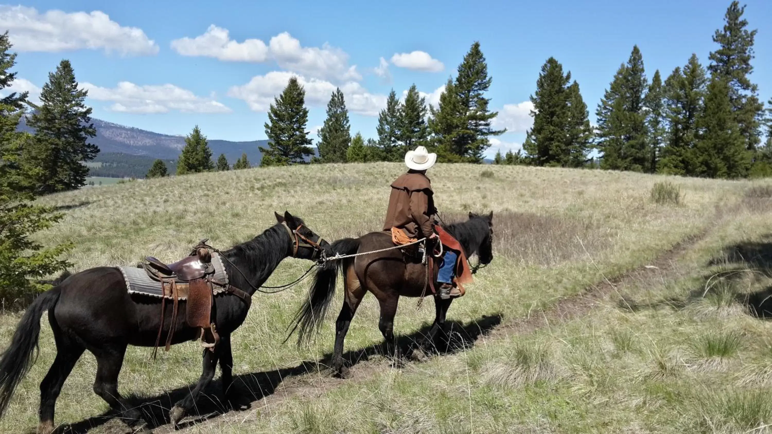 Horse-riding, Horseback Riding in Lonesome Dove Ranch