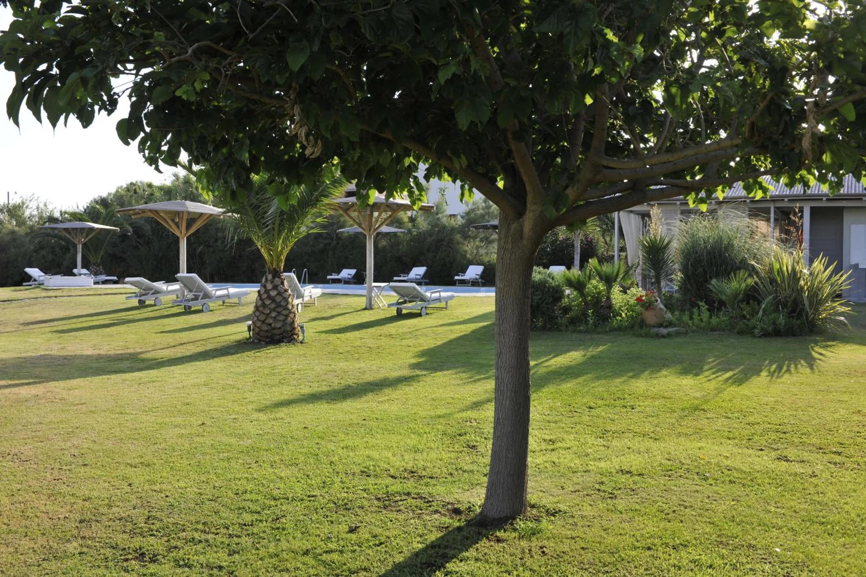 Garden in Ammos Naxos Exclusive Apartments & Studios