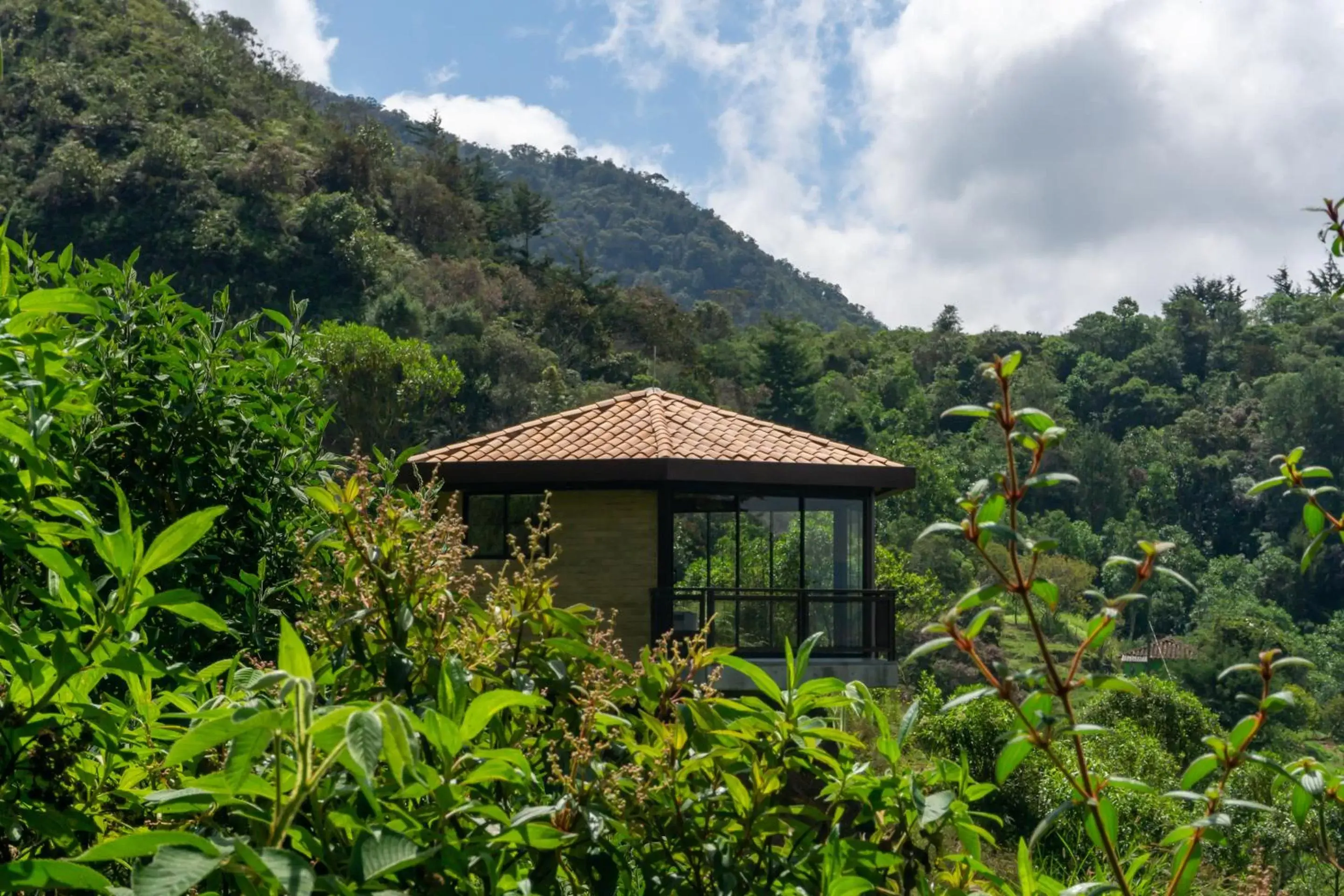 Mountain view, Property Building in Cannua Lodge