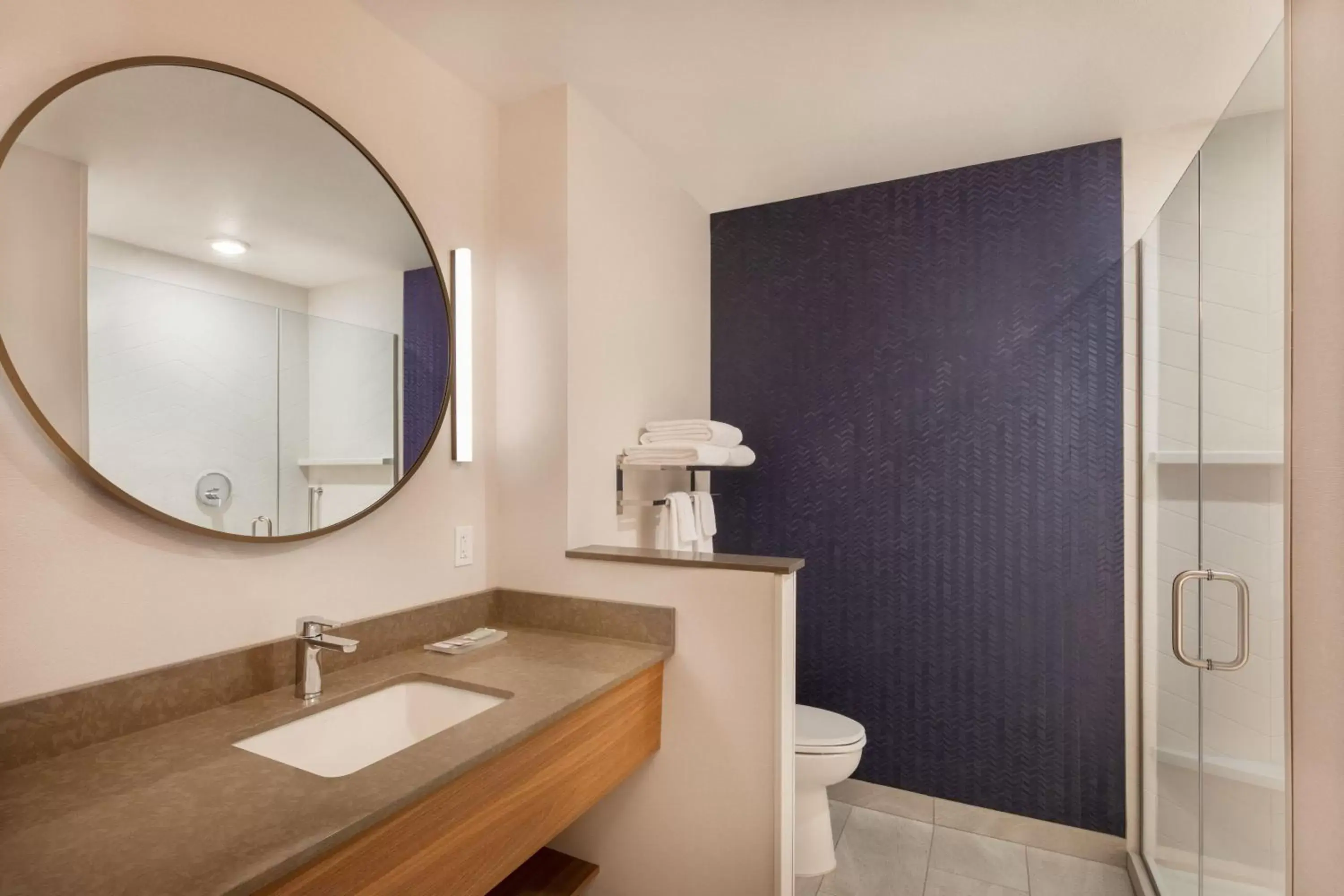 Bathroom in Fairfield Inn & Suites by Marriott Fresno North/Shaw Avenue