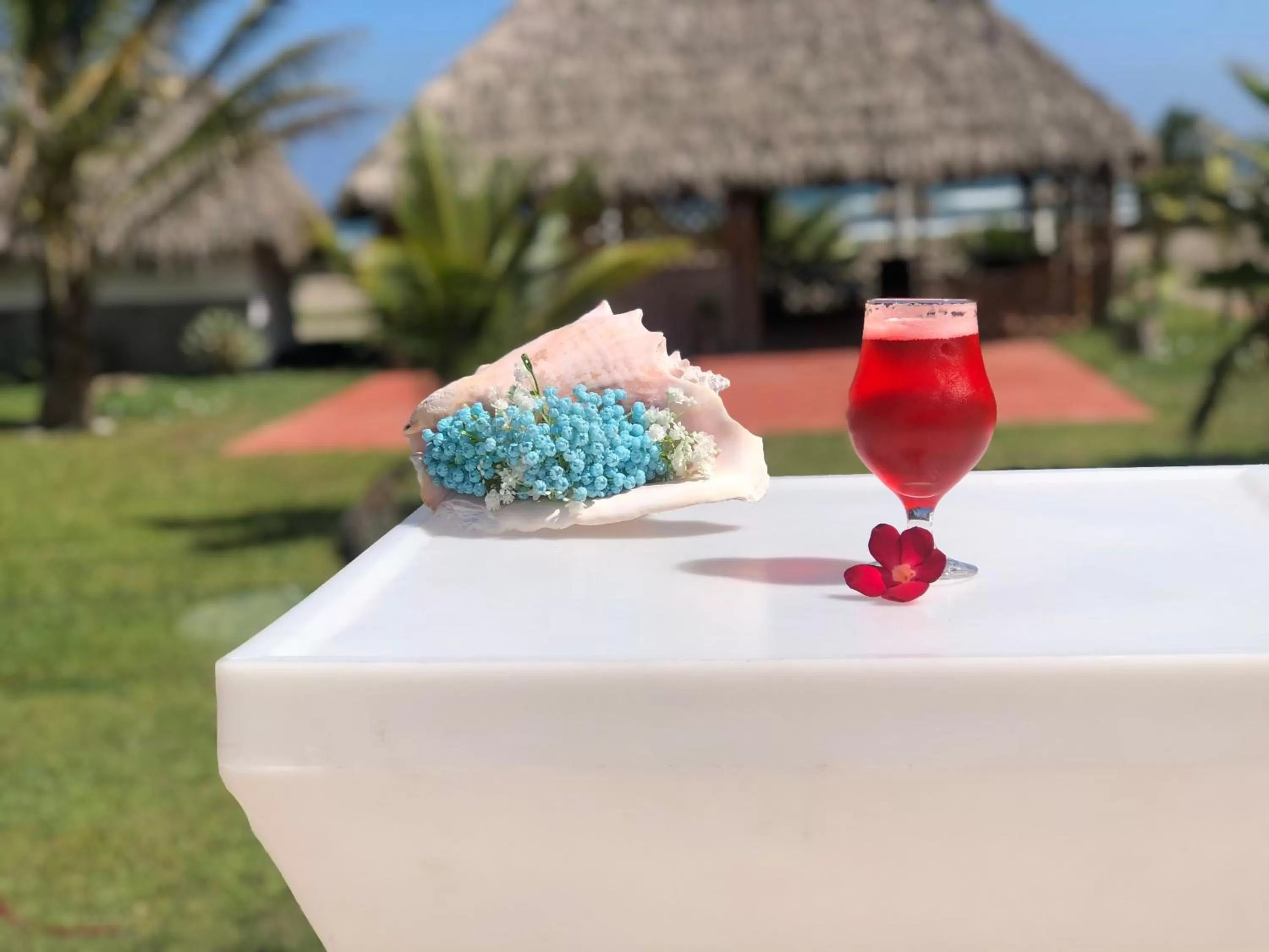 Balcony/Terrace in Ananta Hotel