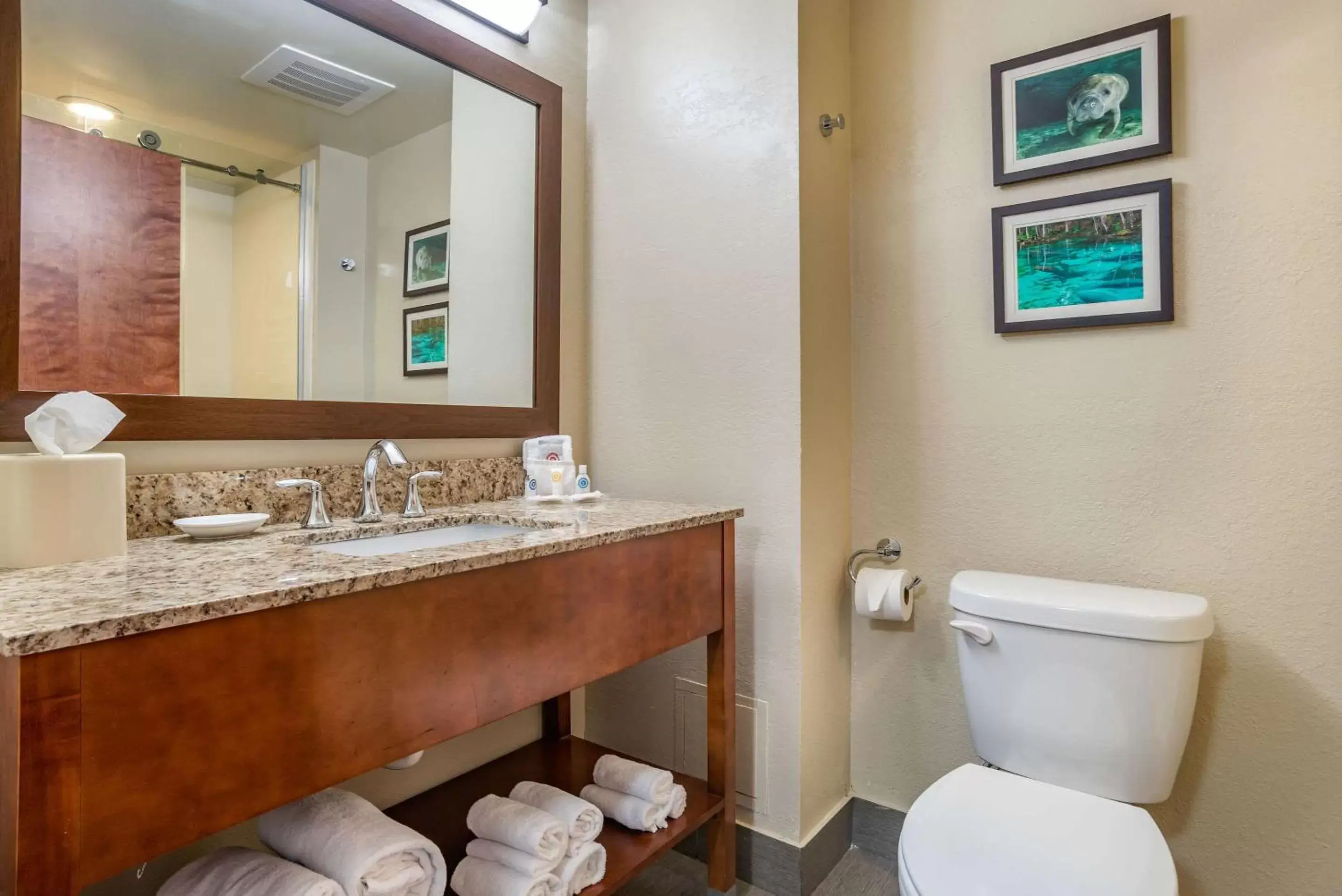 Photo of the whole room, Bathroom in Comfort Suites Tallahassee Downtown