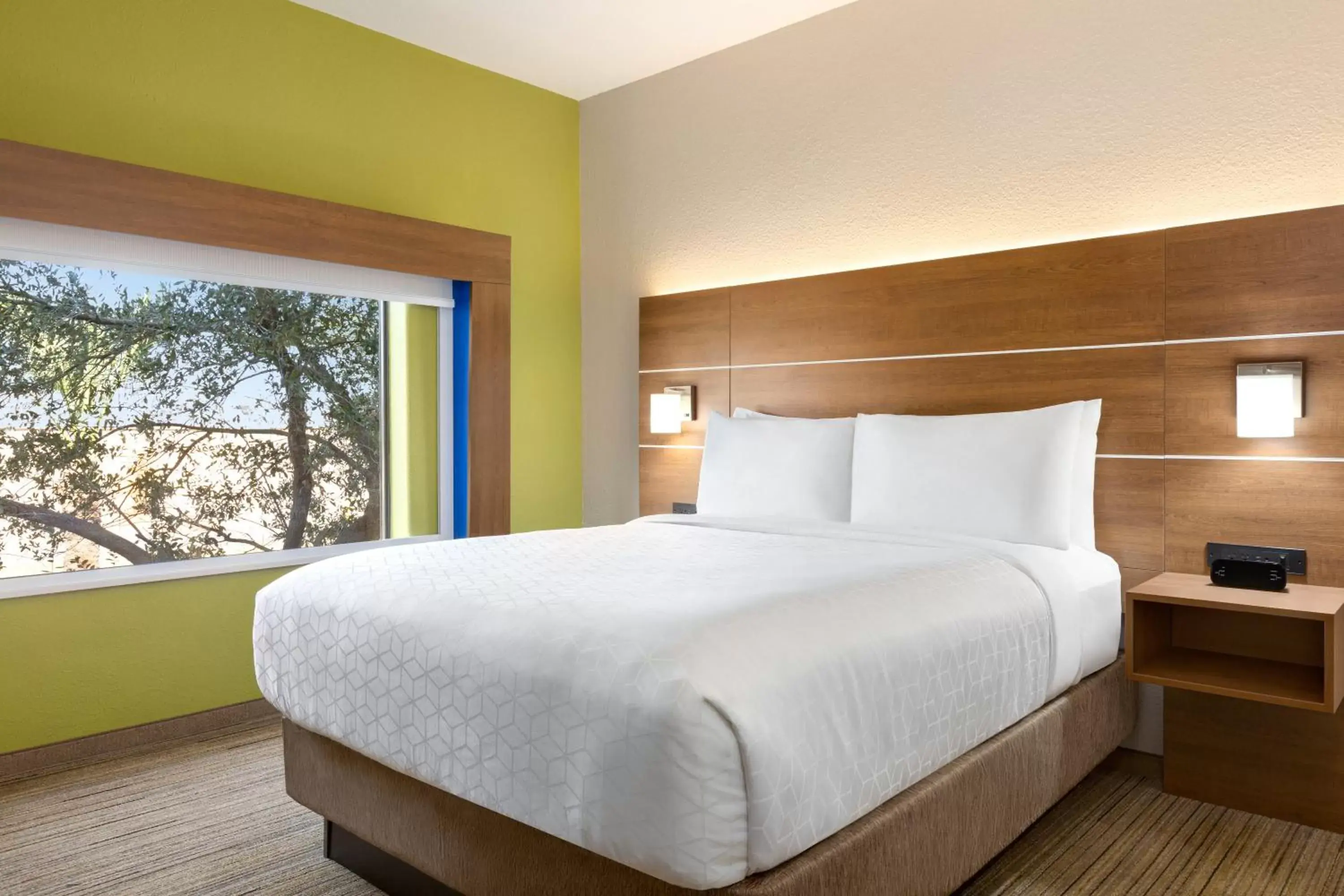 Photo of the whole room, Bed in Holiday Inn Express Hotel & Suites Mission-McAllen Area, an IHG Hotel