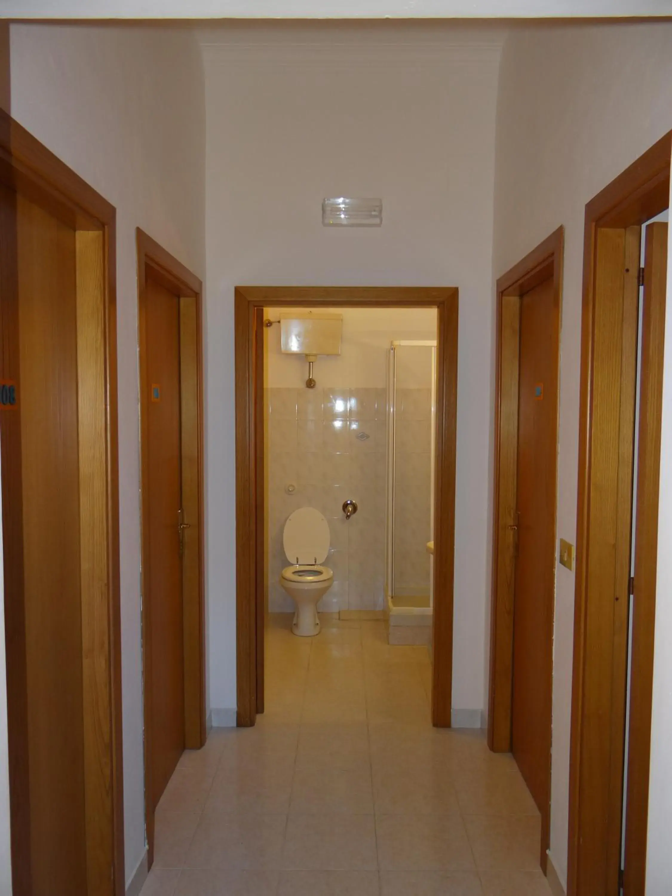 Decorative detail, Bathroom in Hotel Amendola Fiera