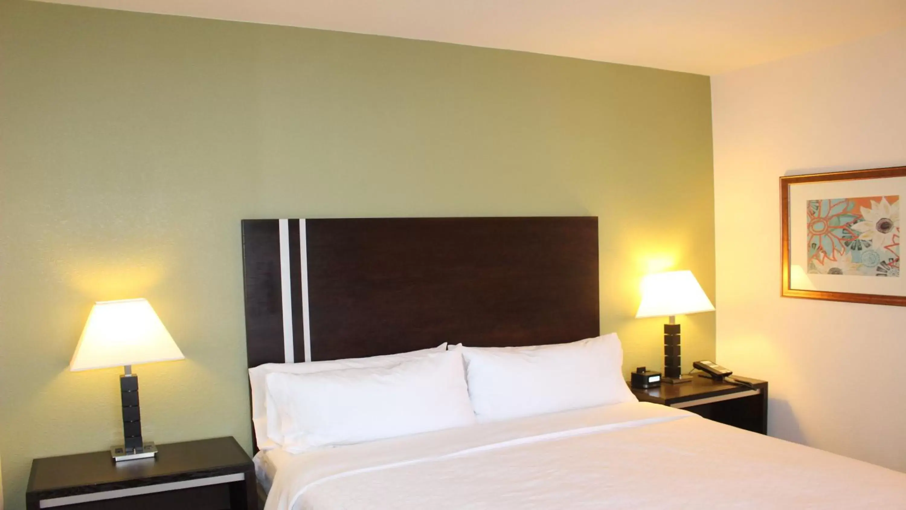 Photo of the whole room, Room Photo in Holiday Inn Express Berkeley, an IHG Hotel