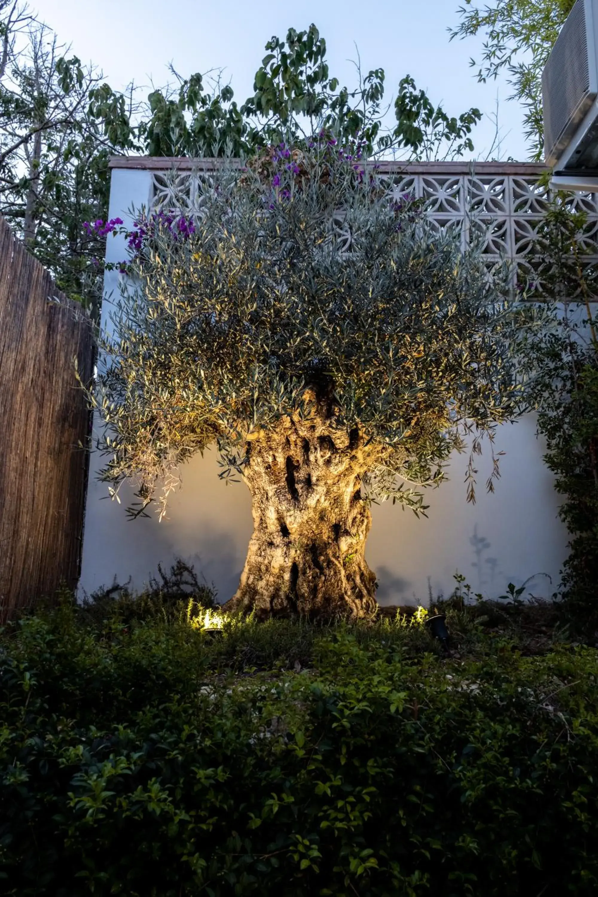 Sauna in Casa Bodhi Marbella