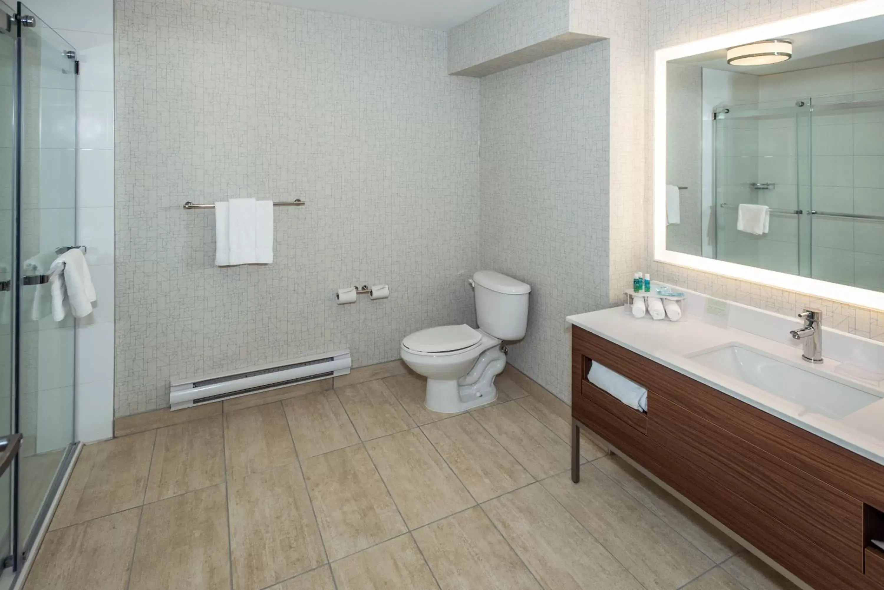 Bathroom in Holiday Inn Express & Suites Medicine Hat, an IHG Hotel