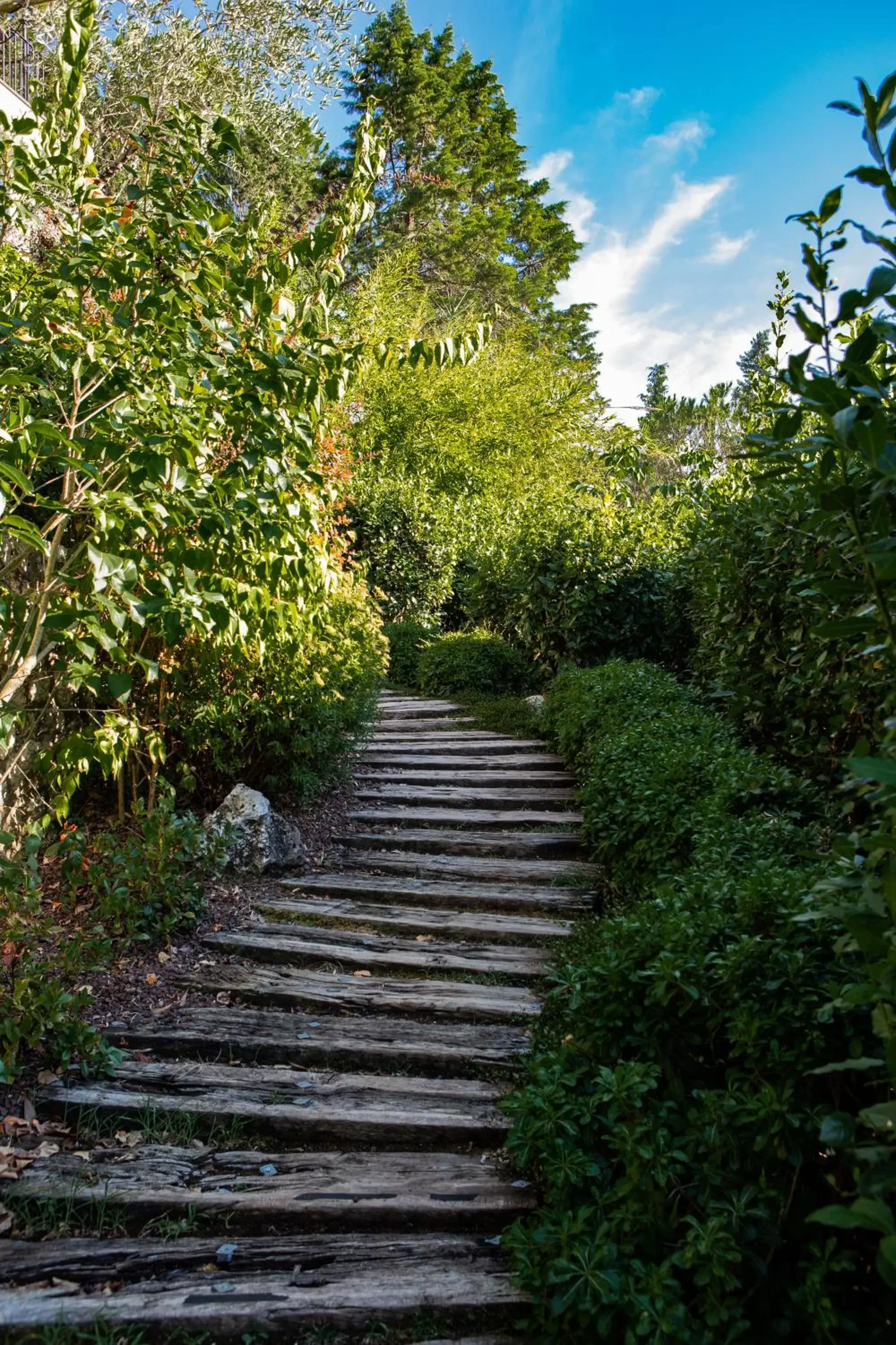 Natural landscape in Vytae Spa & Resort