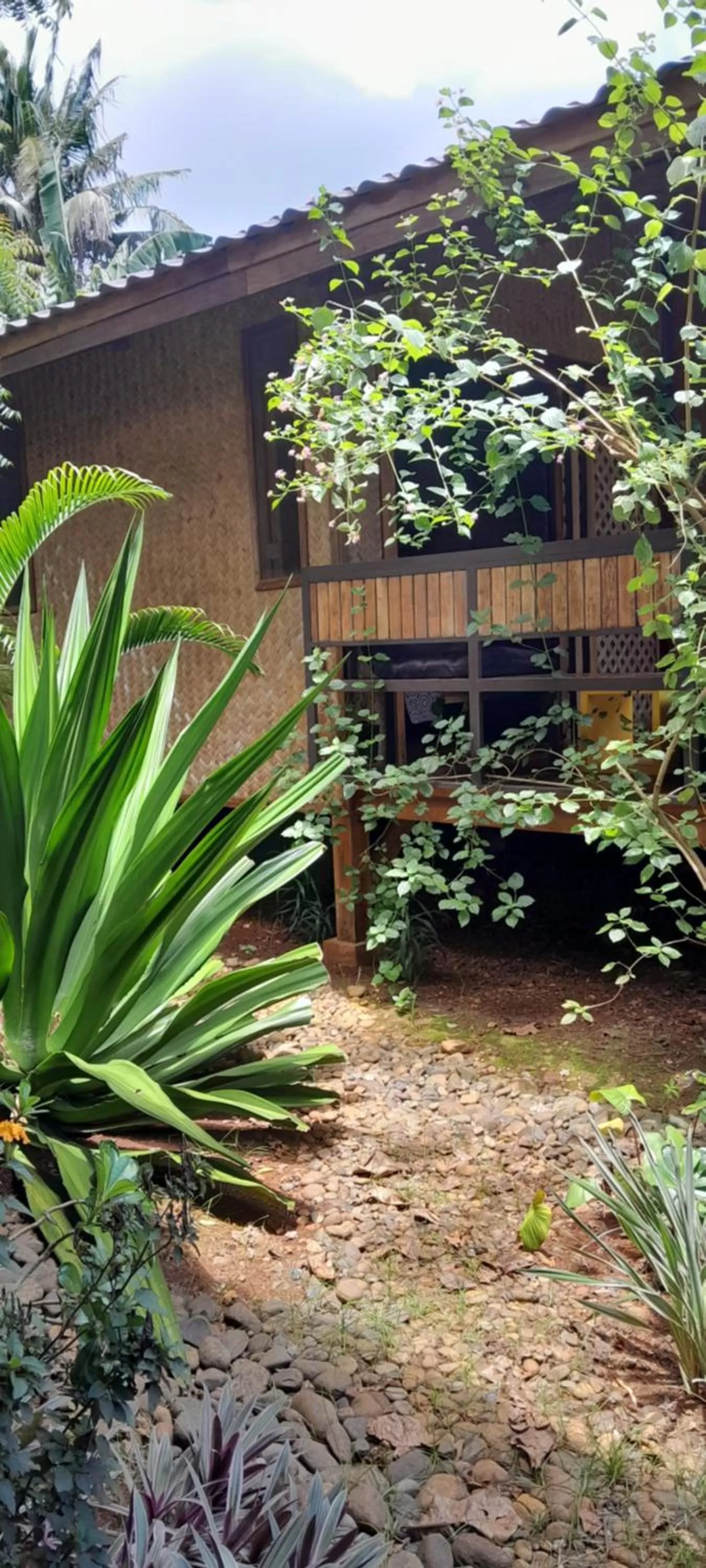 Property building in At Home