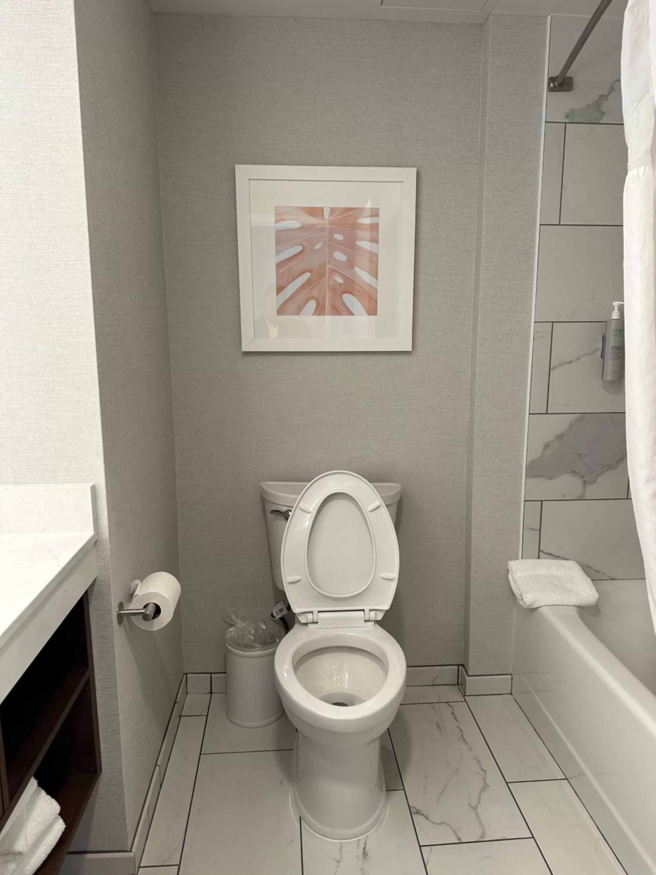 Toilet in Hampton Inn Virginia Beach-Oceanfront South