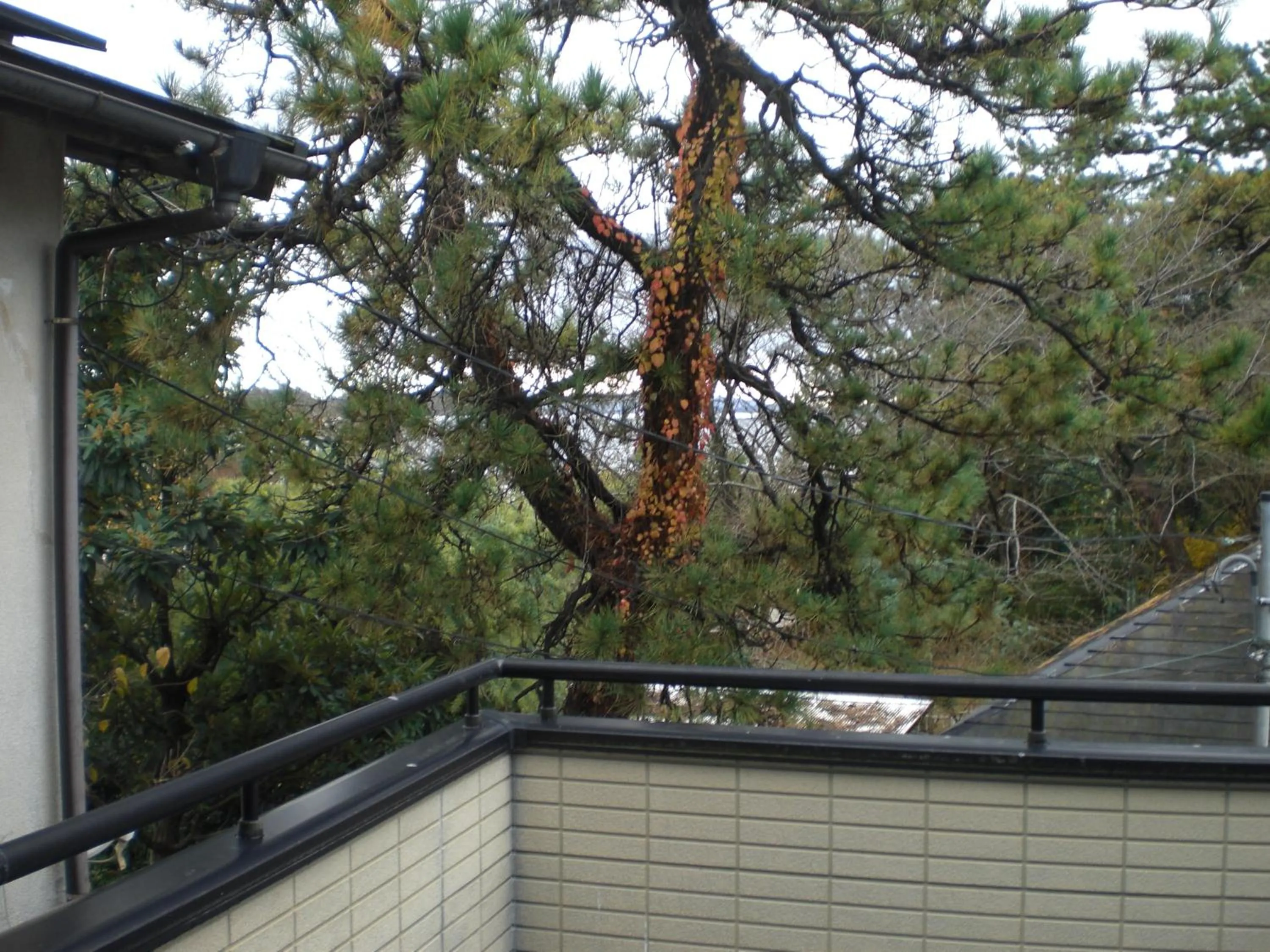 Minato Oasis Numazu / 沼津観光の中心、伊豆観光の拠点に好立地！沼津港に位置し交通・飲食・コンビニ等至便です！