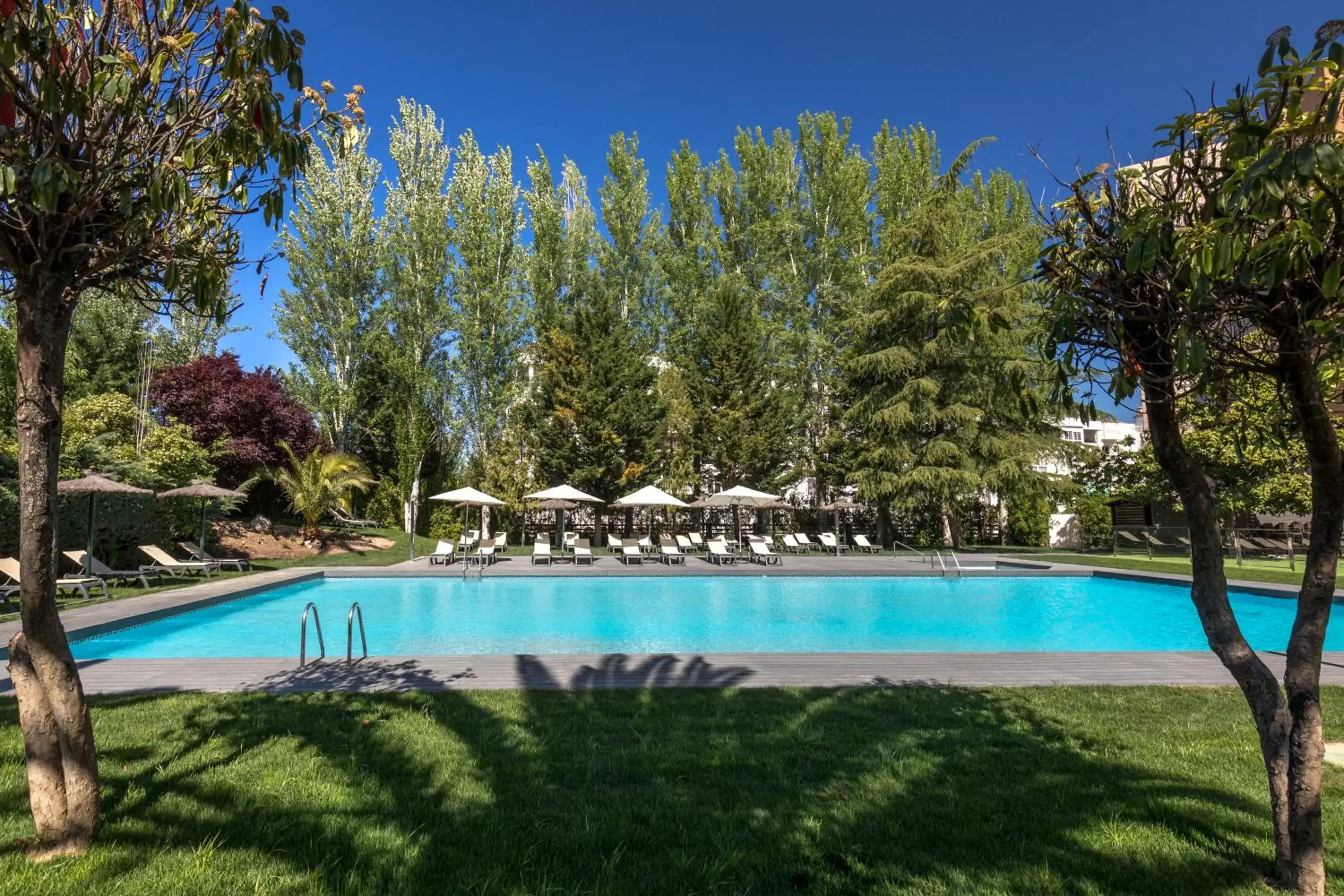 Swimming pool in Barceló Cáceres V Centenario