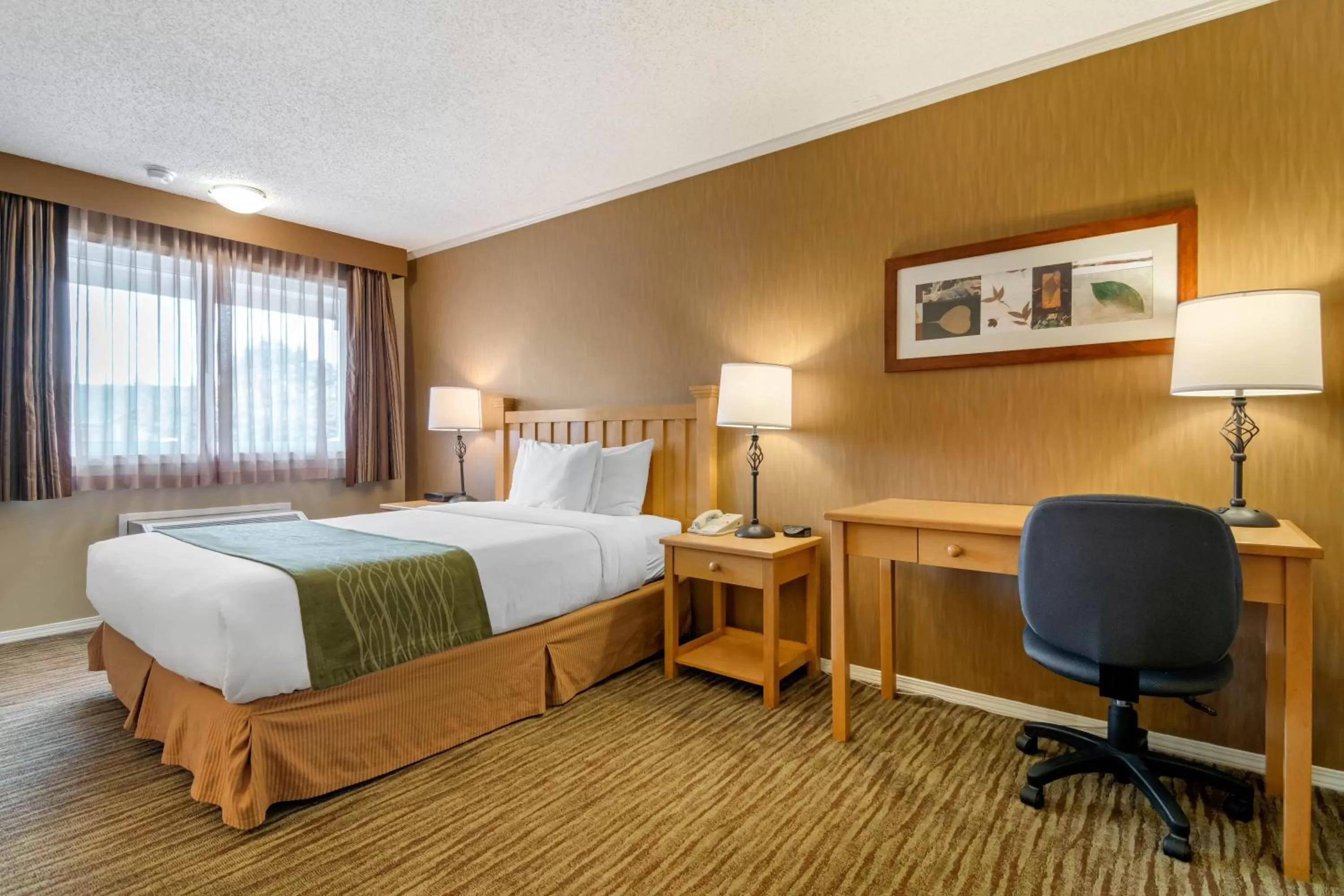 Bed in Econo Lodge Inn & Suites