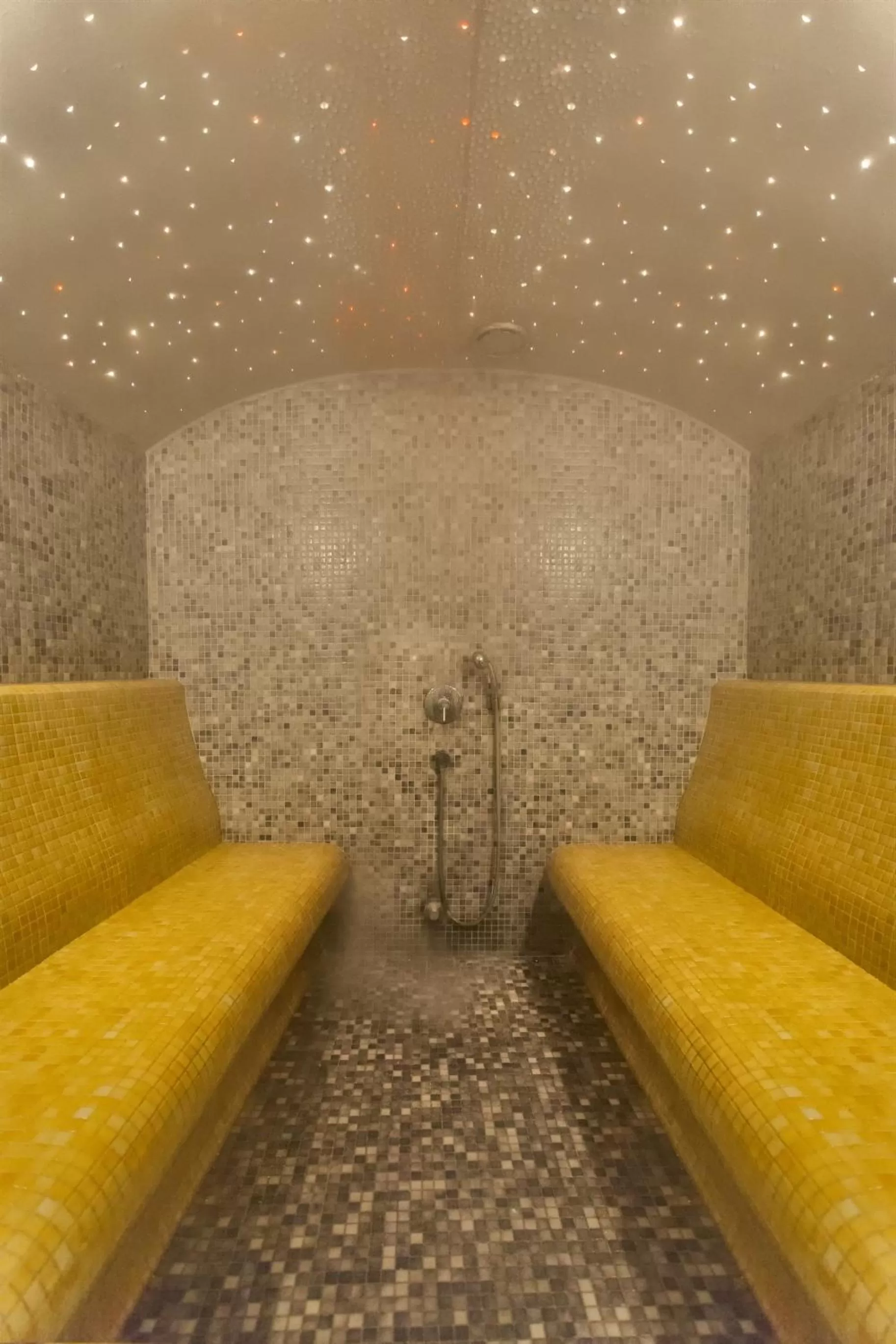 Sauna in Fraser Place Anthill Istanbul