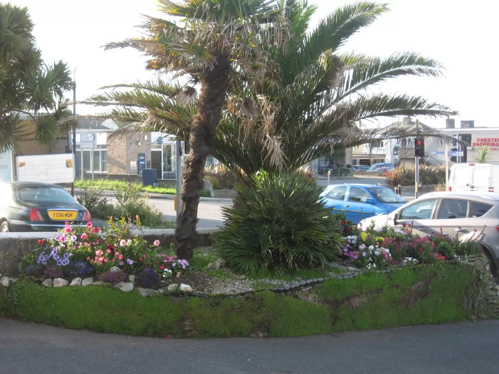 Spring in Jasmine House