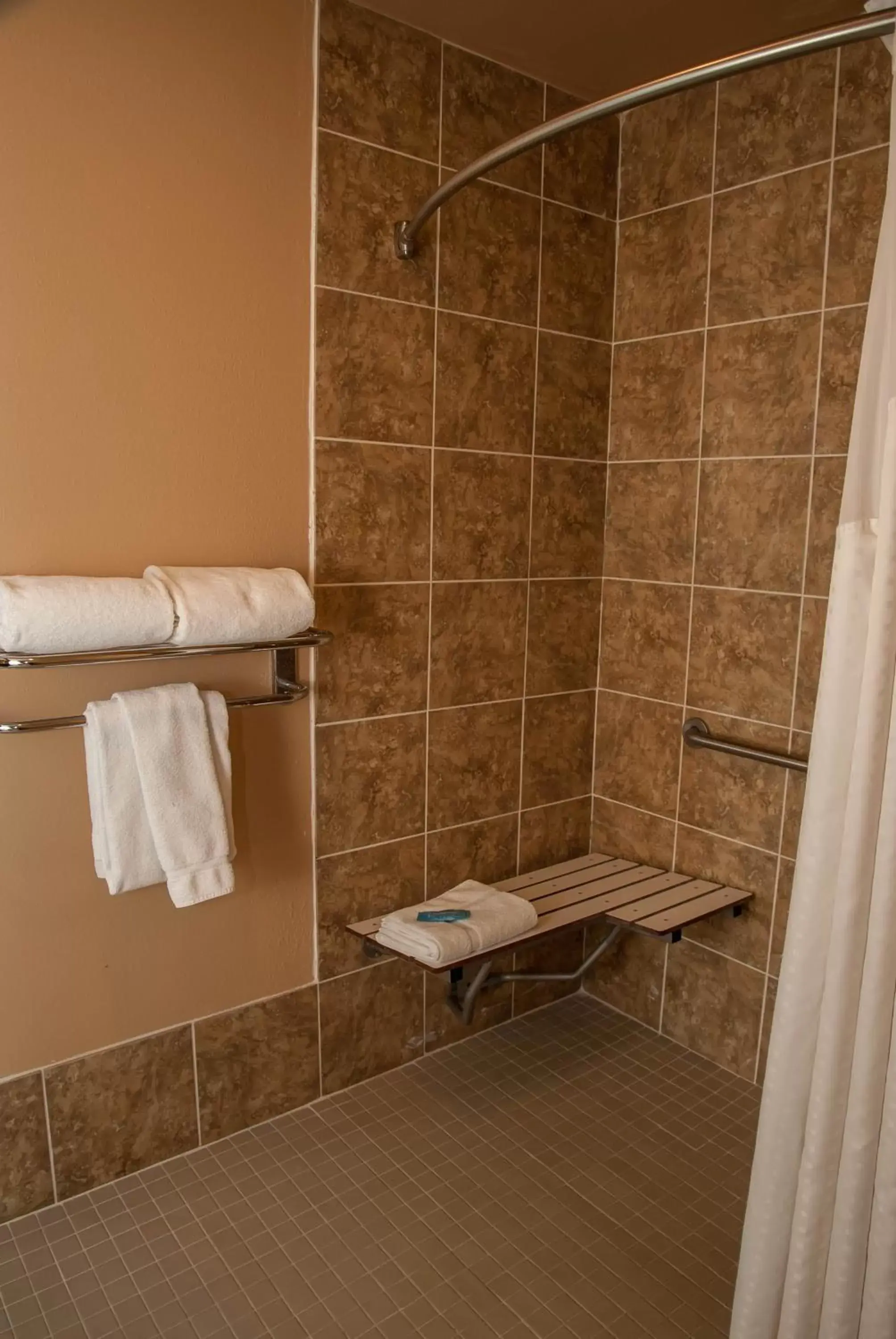 Bathroom in Holiday Inn Express Tucson-Airport, an IHG Hotel