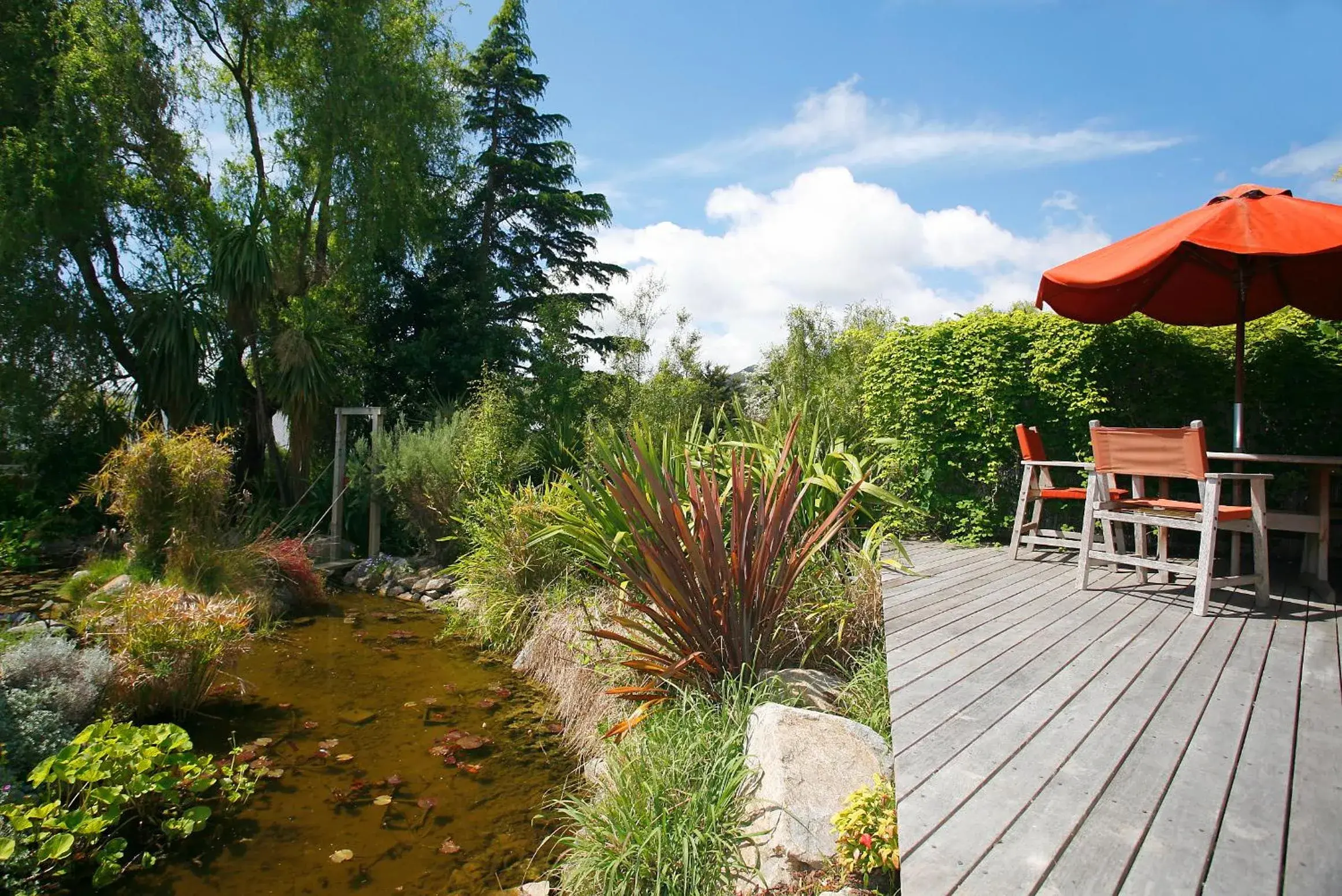 Garden in Joya Garden & Villa Studios