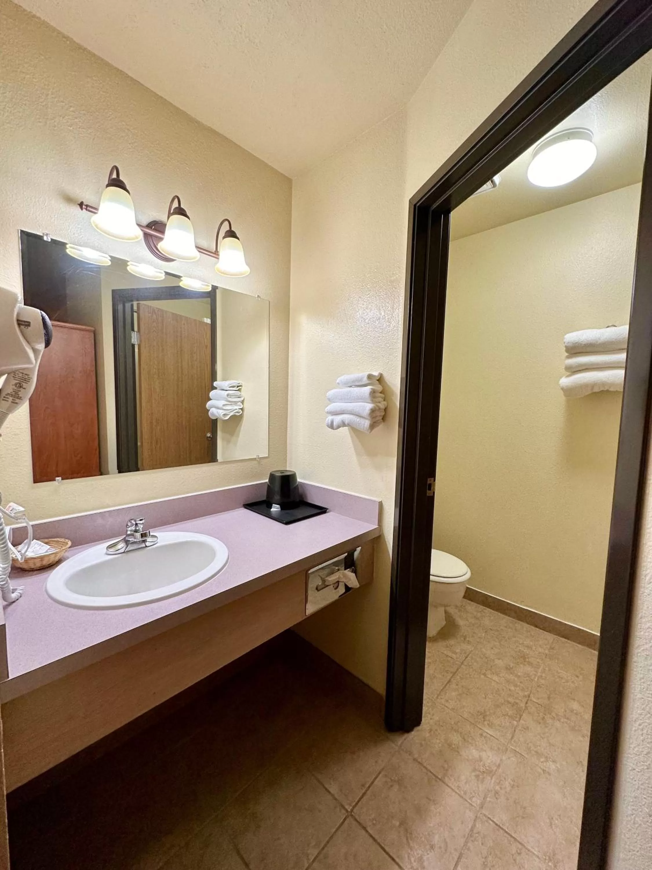Bathroom in FairBridge Inn & Suites Kellogg