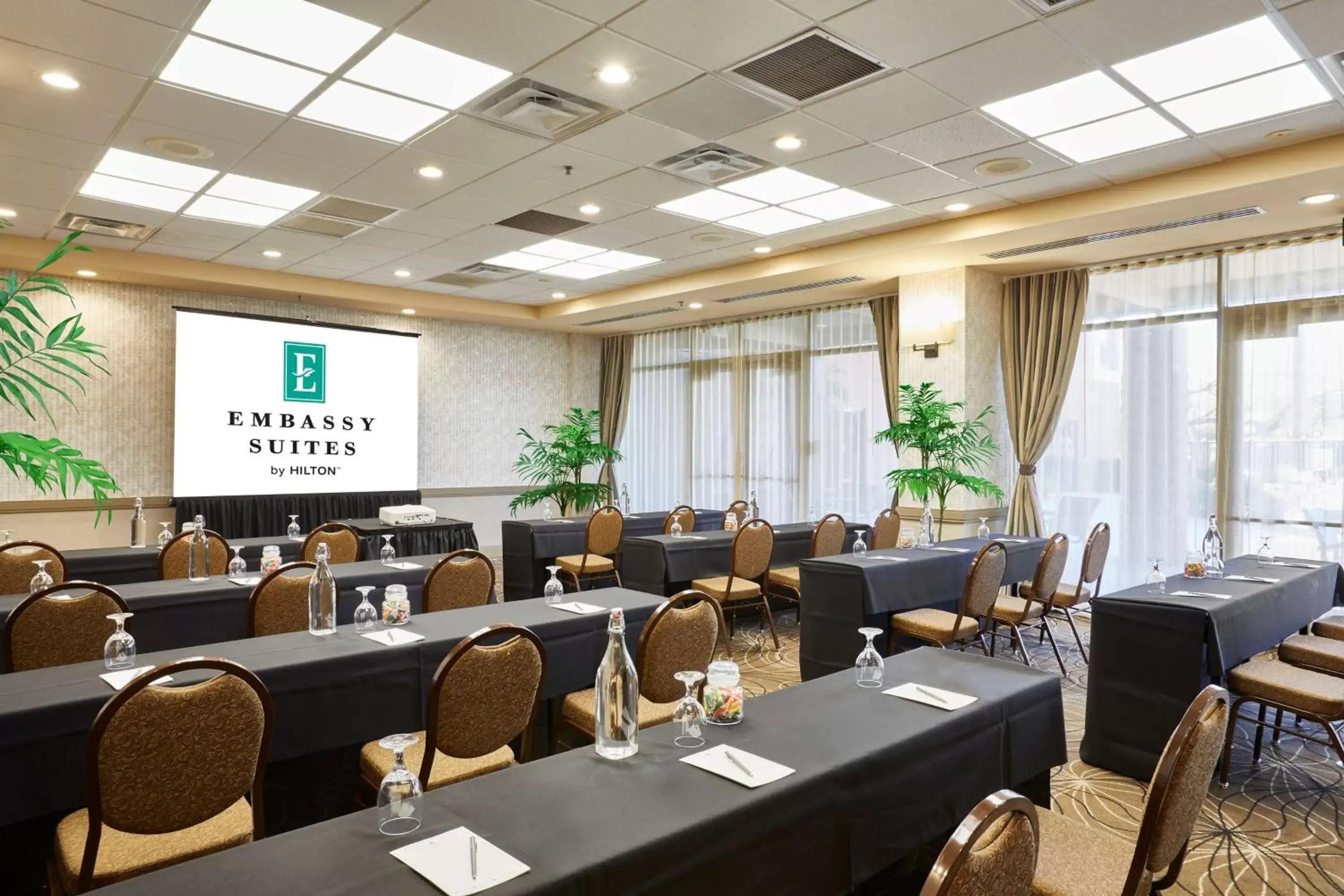 Meeting/conference room in Embassy Suites by Hilton Phoenix Scottsdale