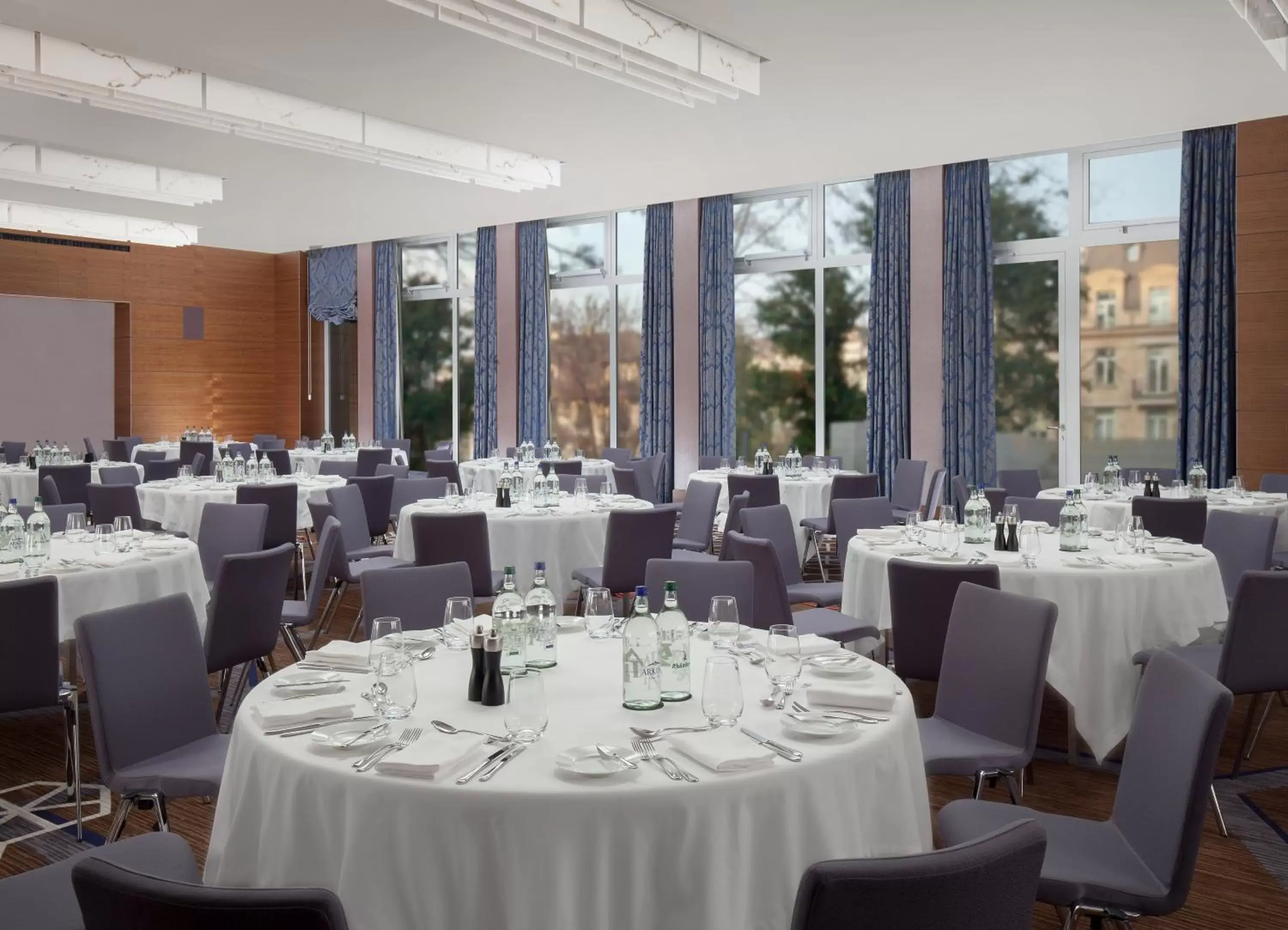 Banquet/Function facilities, Restaurant/Places to Eat in Royal Savoy Hotel & Spa