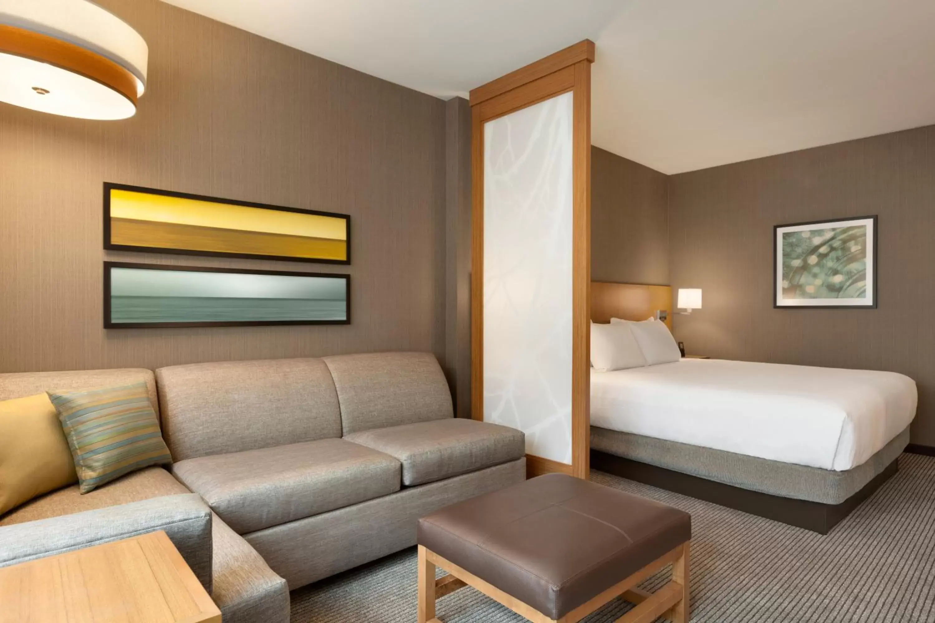 King Room with Sofa Bed and Accessible Tub - Disability Access in Hyatt Place Washington DC/Georgetown/West End