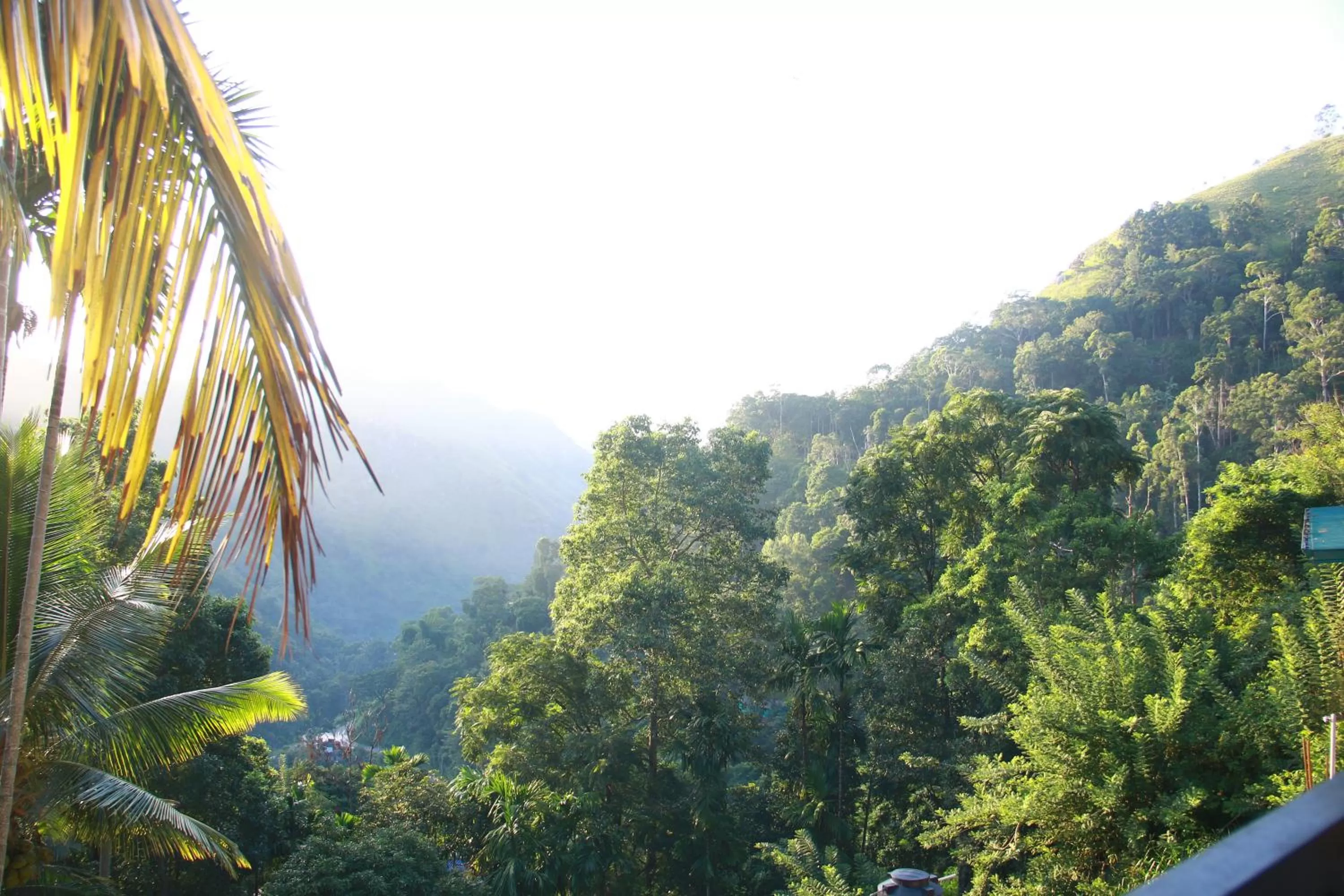 Nearby landmark in Different View