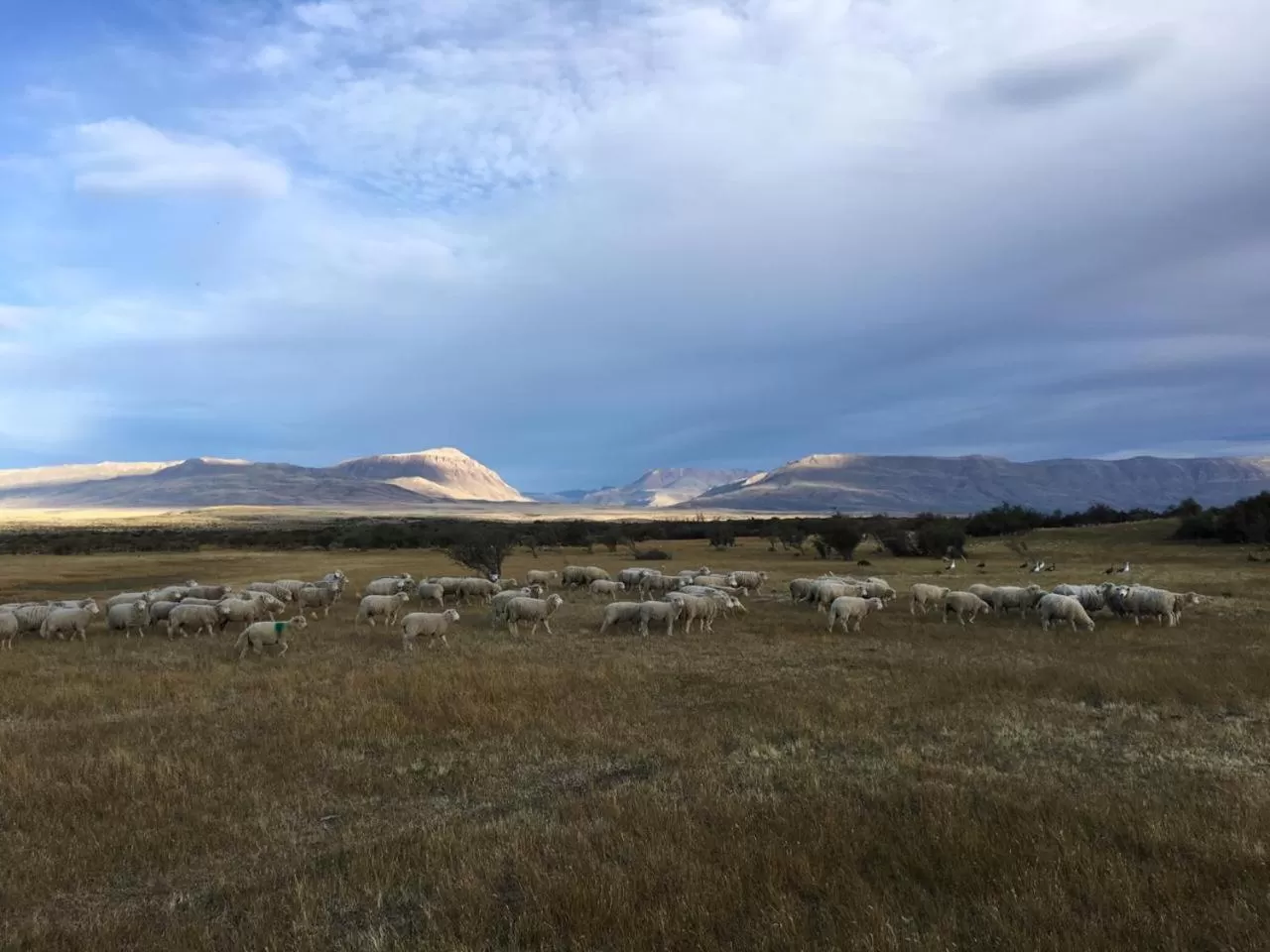 Natural Landscape in Hostería El Galpón Del Glaciar