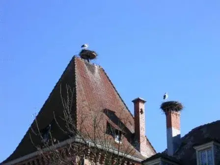 Day, Property Building in Auberge Obersolberg