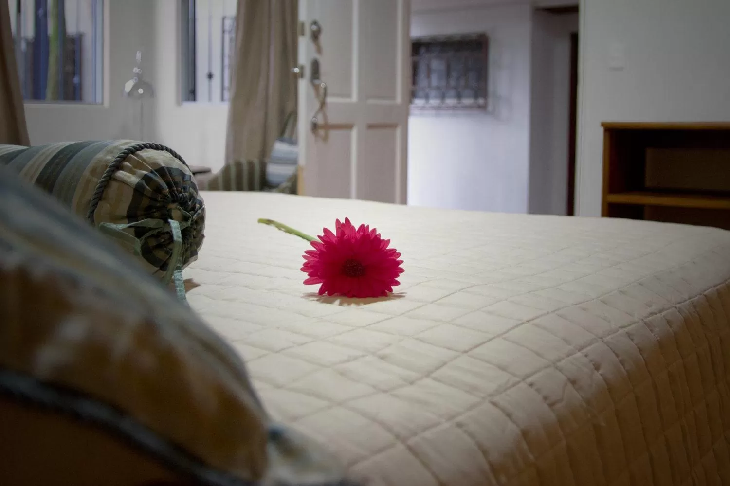 Bed in Hotel Ave del Paraíso