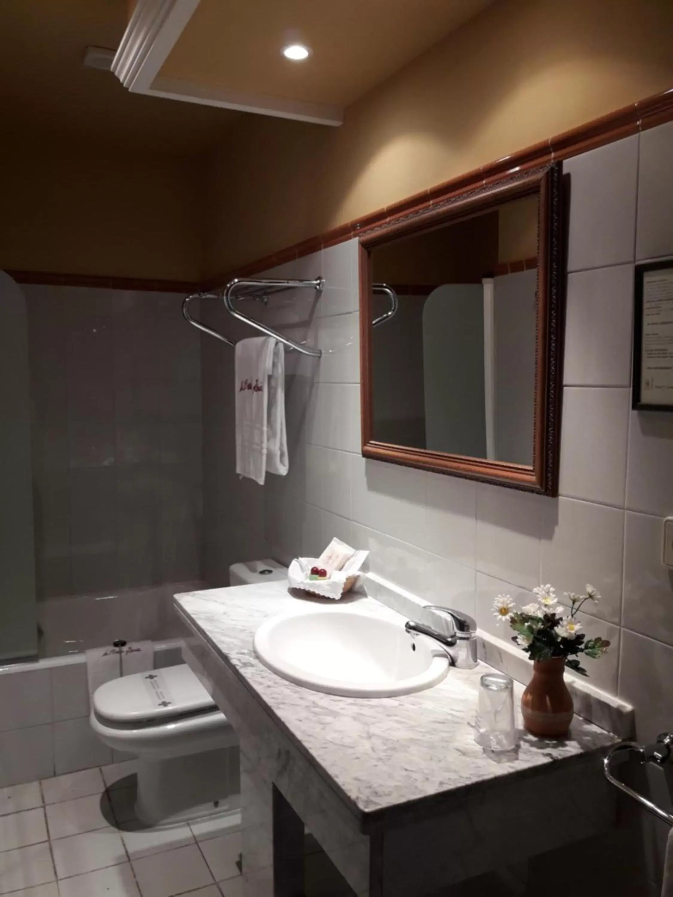 Bathroom in Hotel La Posada Regia