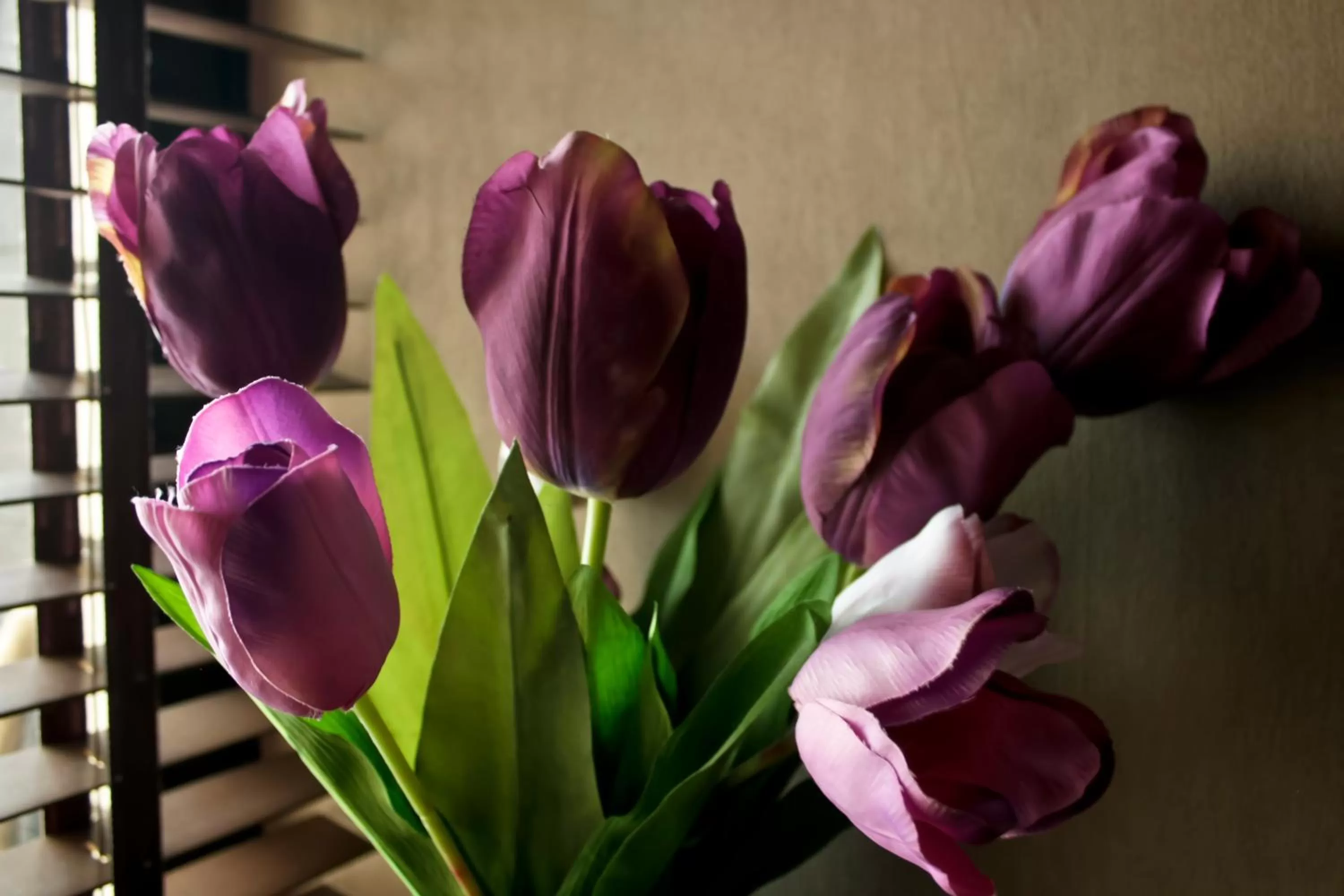 Decorative detail in Edi Hotel