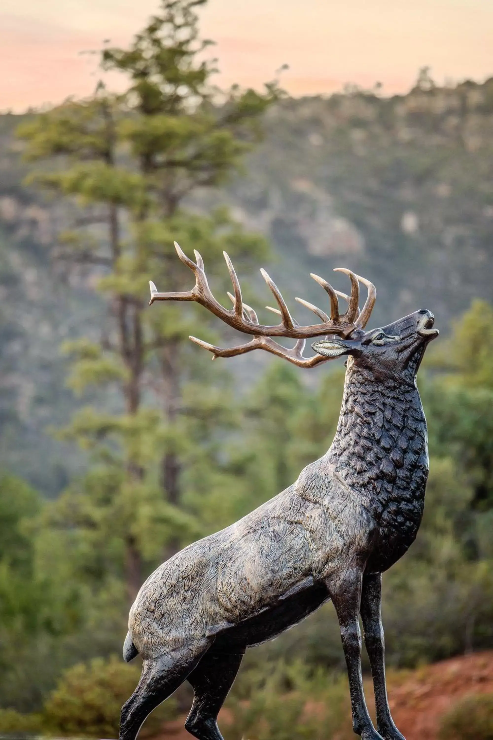 Property logo or sign, Other Animals in Lodge at 5600