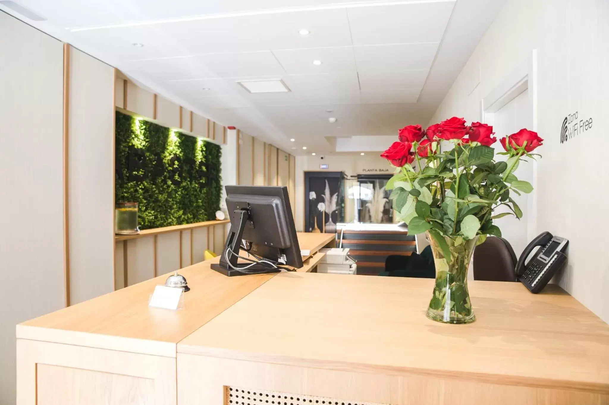 Lobby or reception in DWO Ábaster Lobby or reception in DWO Ábaster