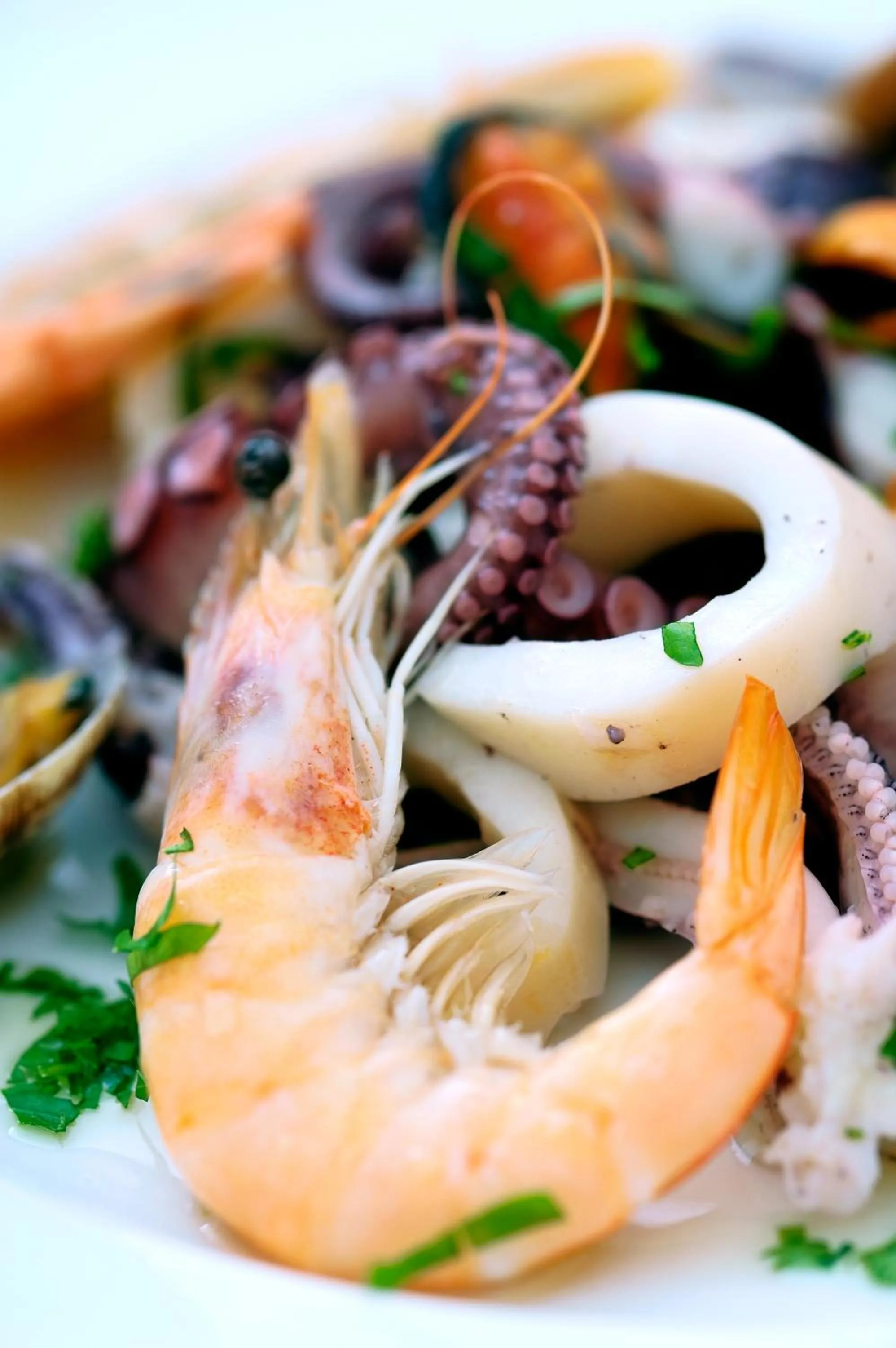 Restaurant/places to eat in Hotel Ulisse