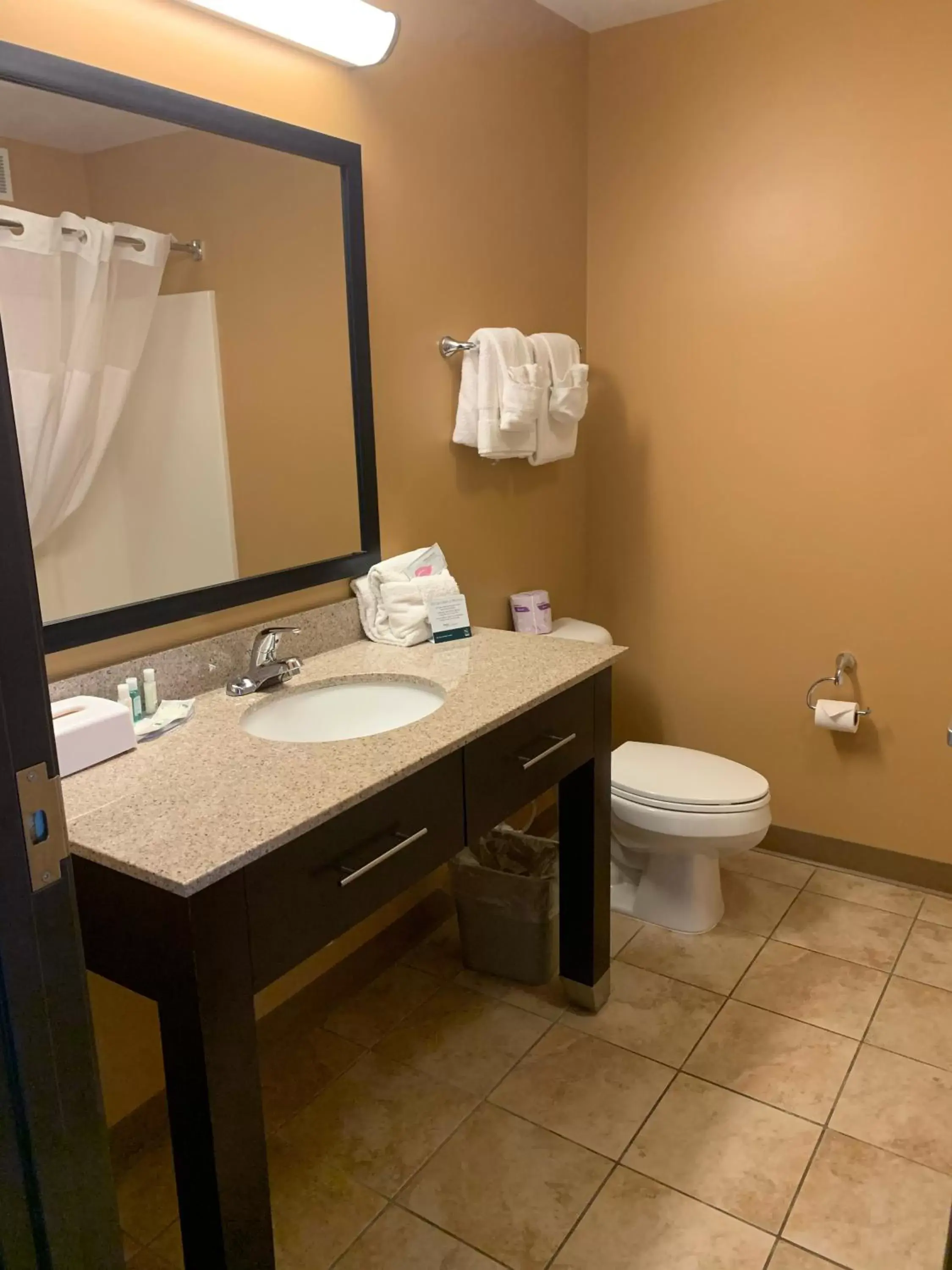 Bathroom in Quality Inn & Suites