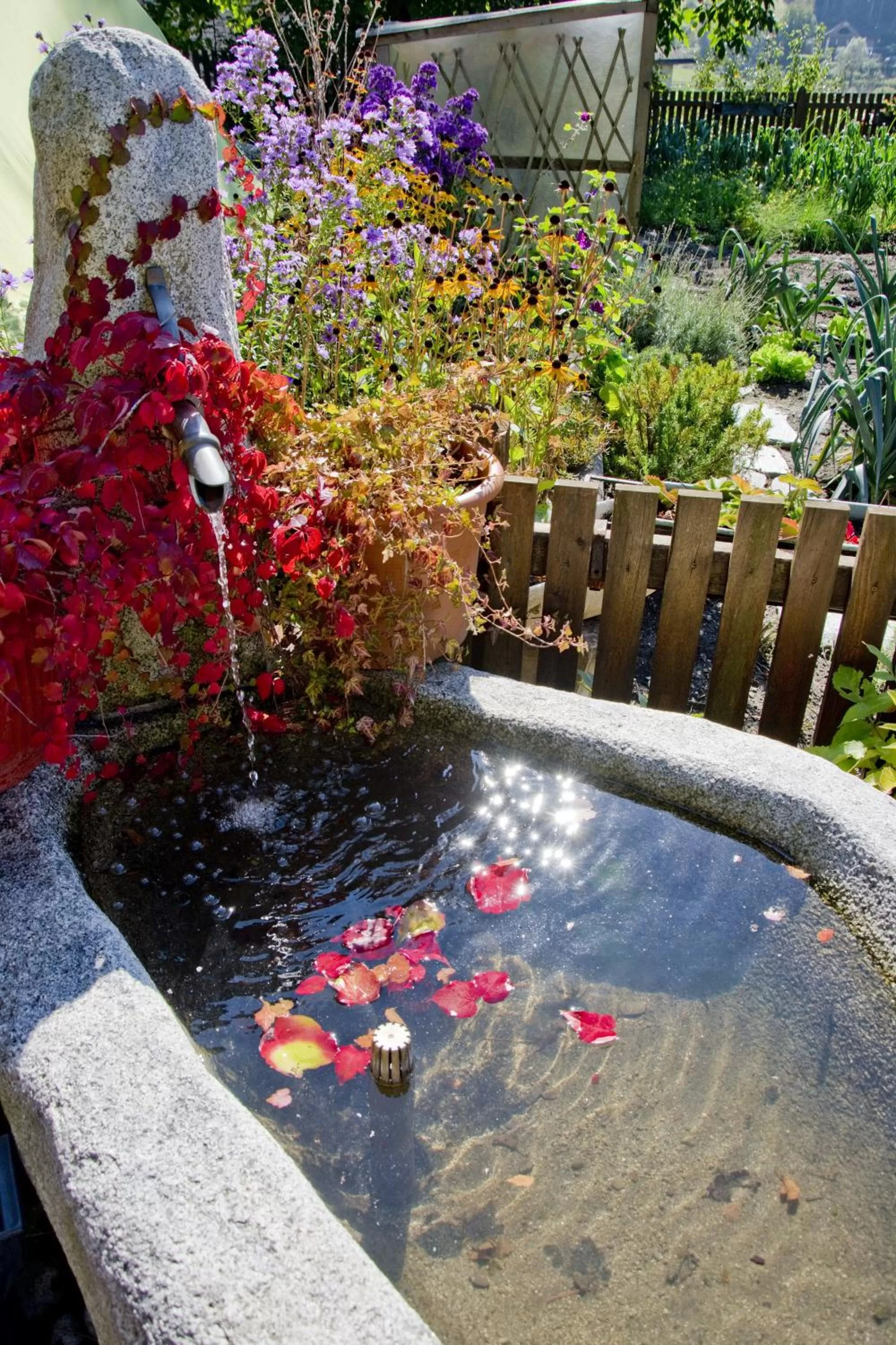 Other, Swimming Pool in Residence Obermoarhof