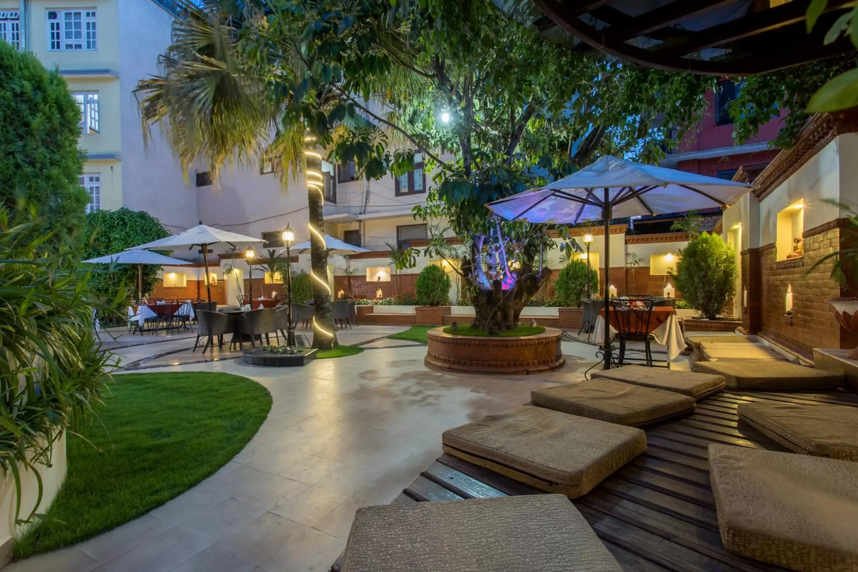 Garden in Hotel Moonlight