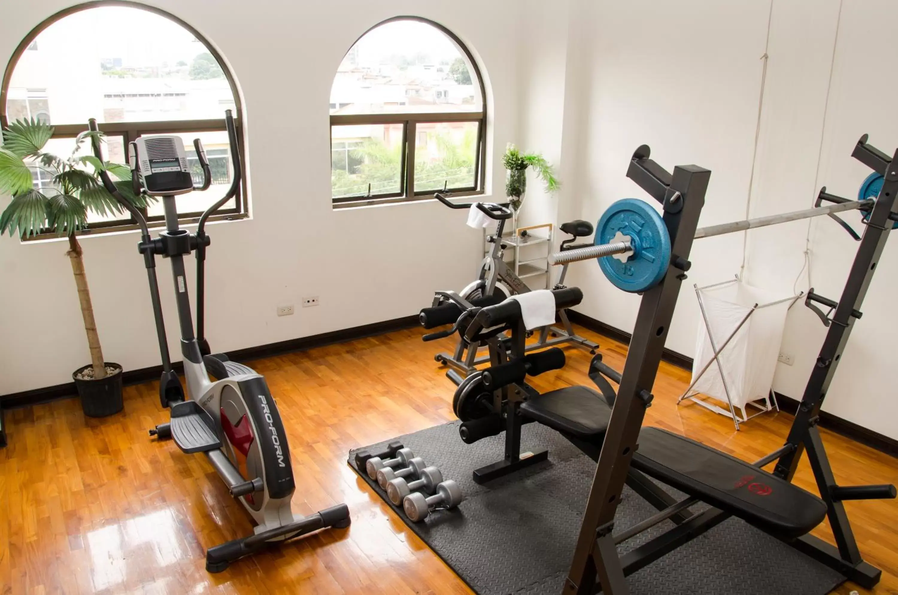 Fitness centre/facilities, Fitness Center/Facilities in Hotel Plaza Real Suites & Apartments San Jose